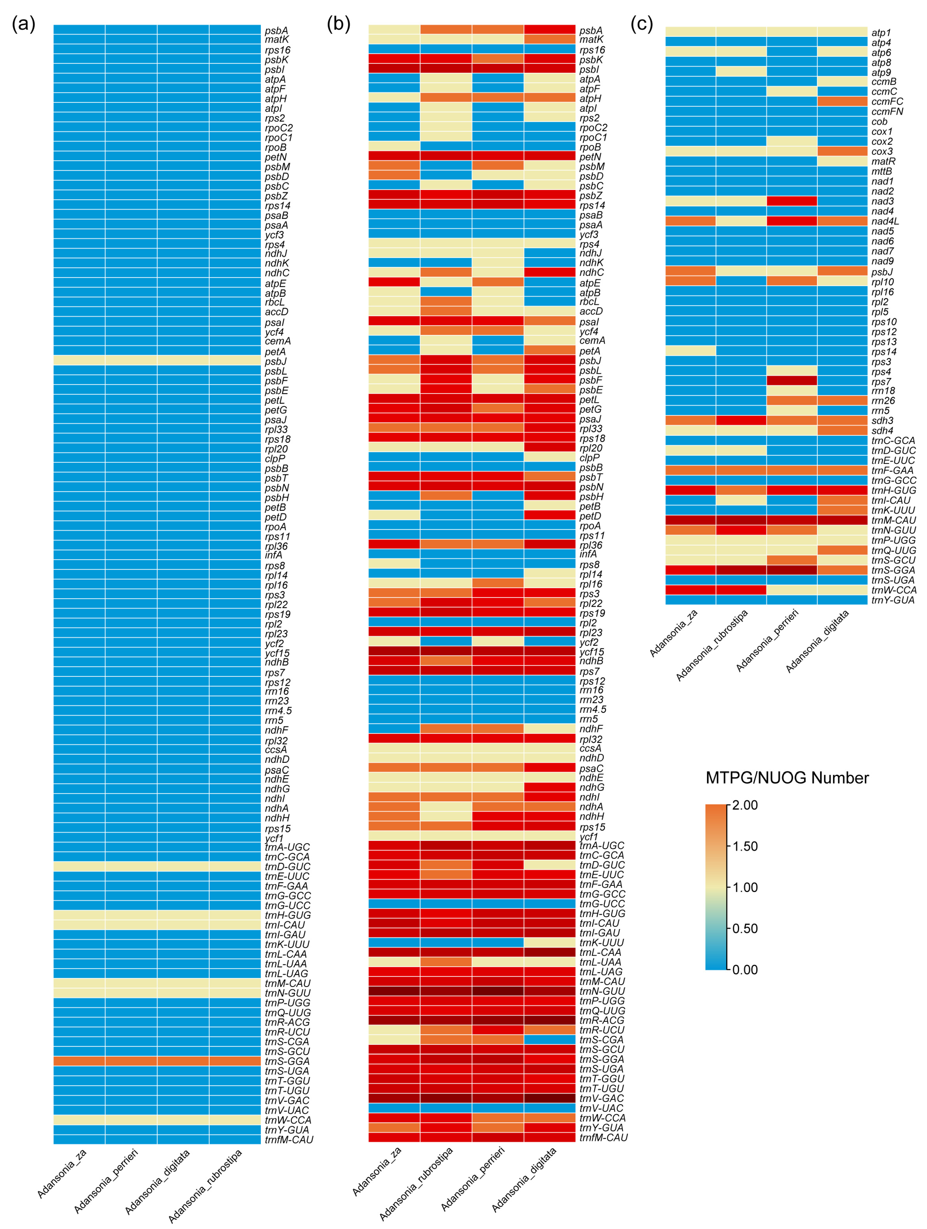 Genes 16 00846 g008