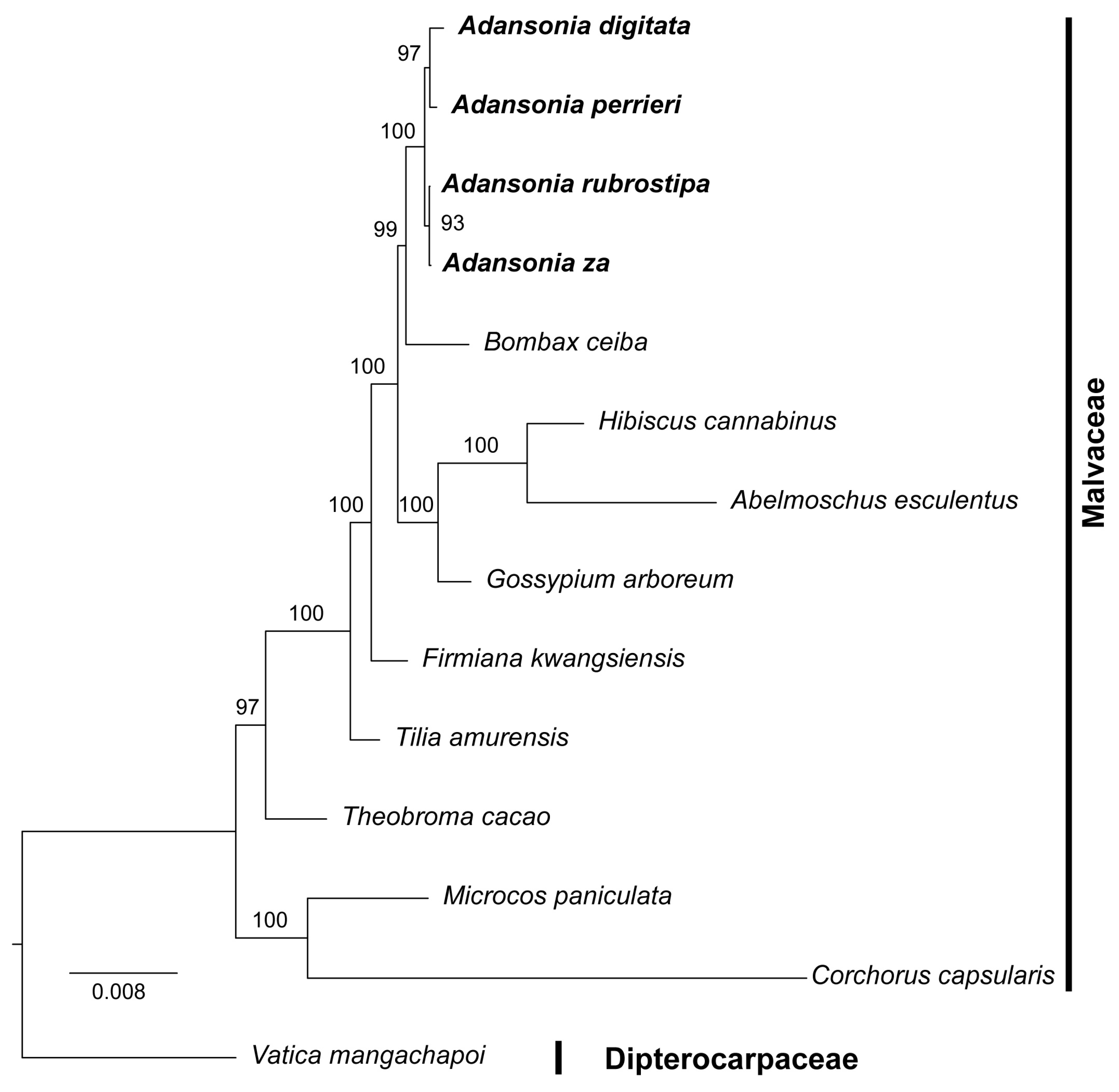 Genes 16 00846 g009