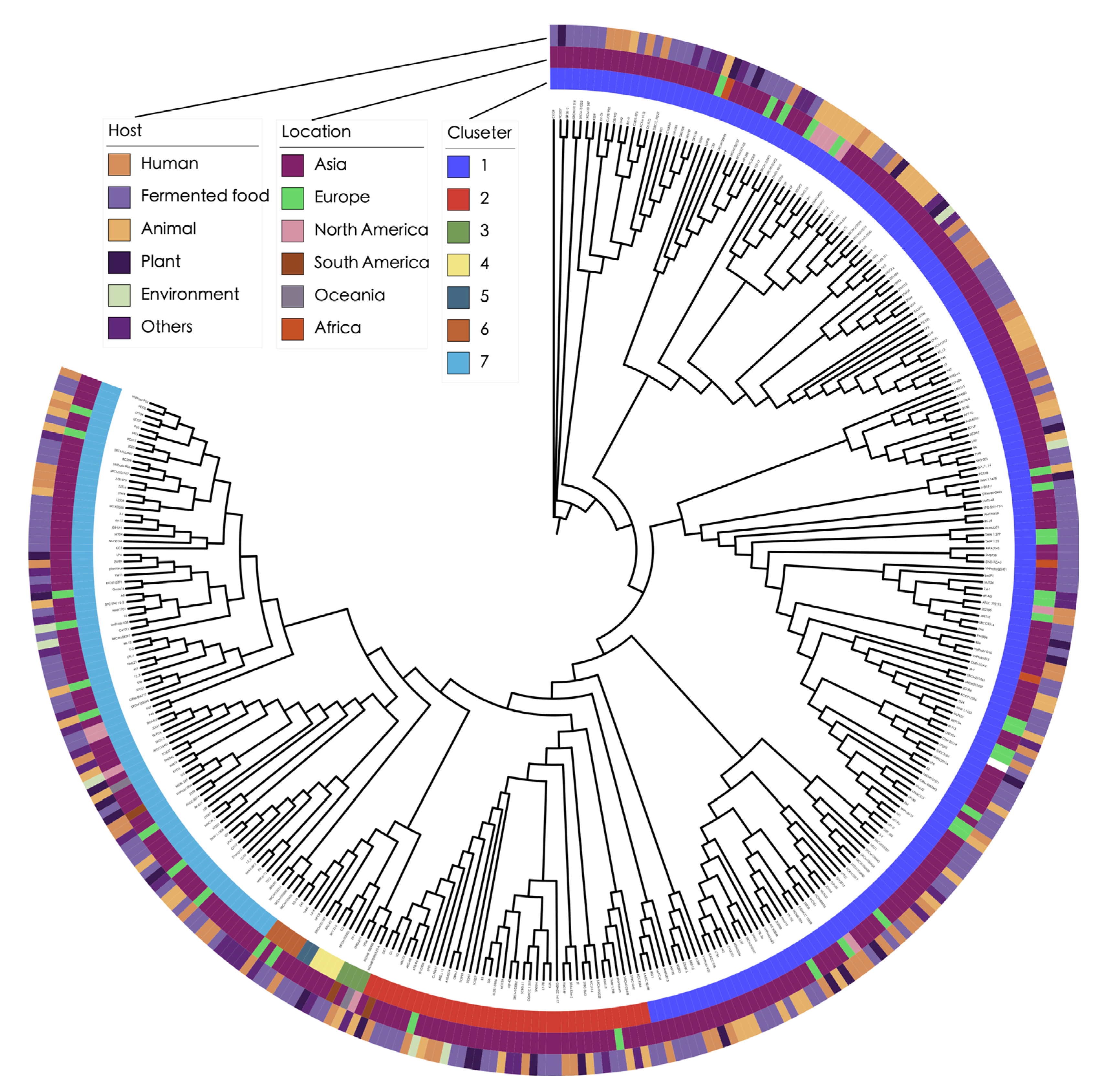 Genes 16 00869 g001 Genes 16 00869 g001