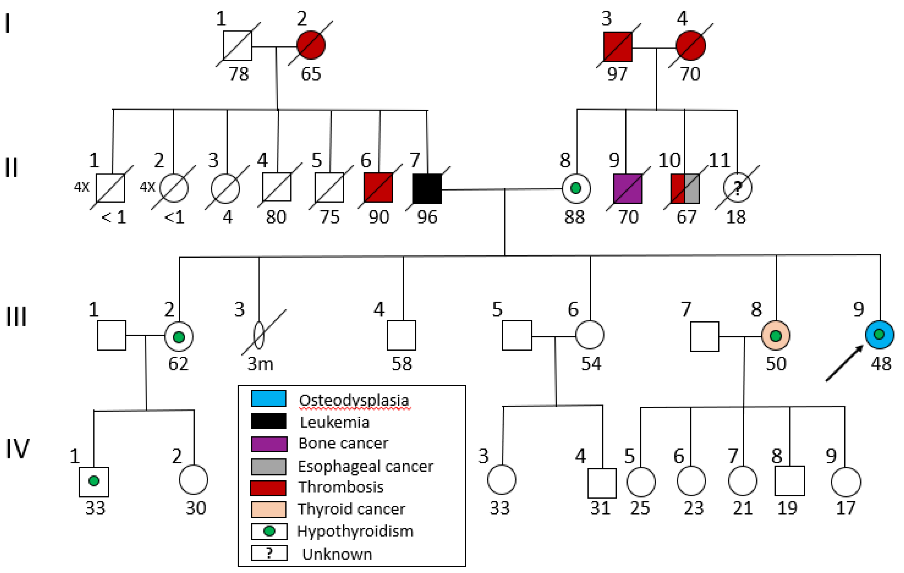 Genes 16 00871 g001 Genes 16 00871 g001