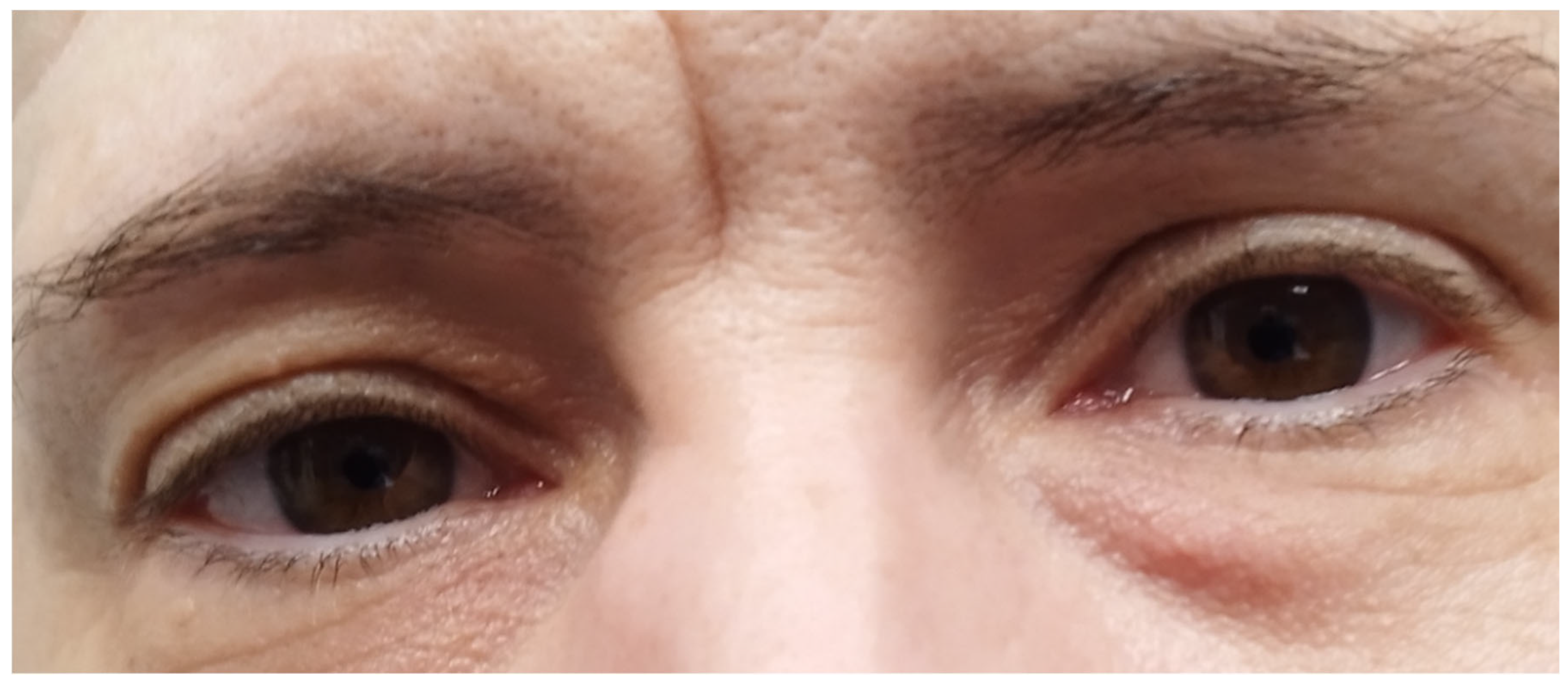 Genes 16 00871 g004 Genes 16 00871 g004