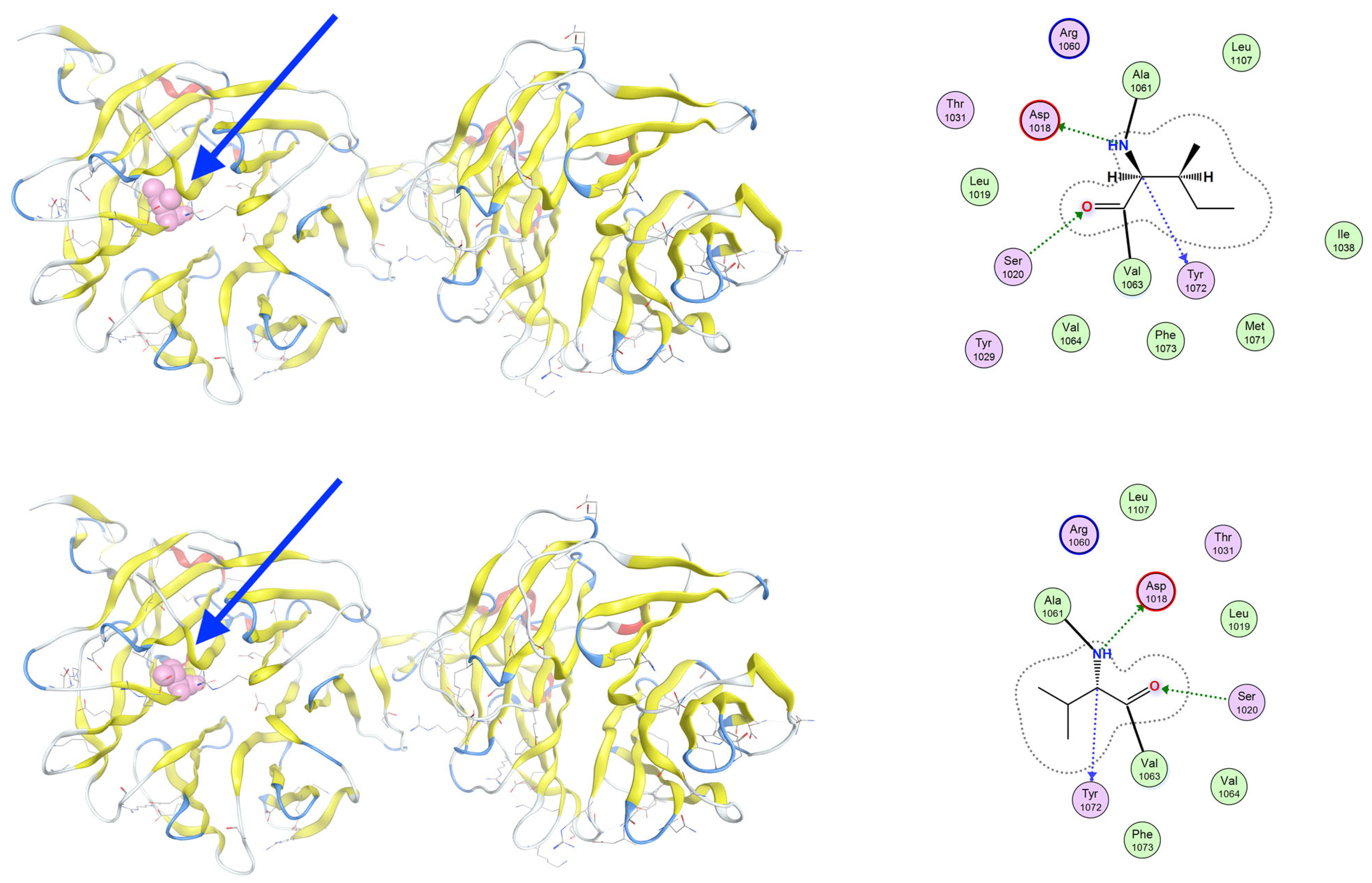 Genes 16 00871 g008 Genes 16 00871 g008