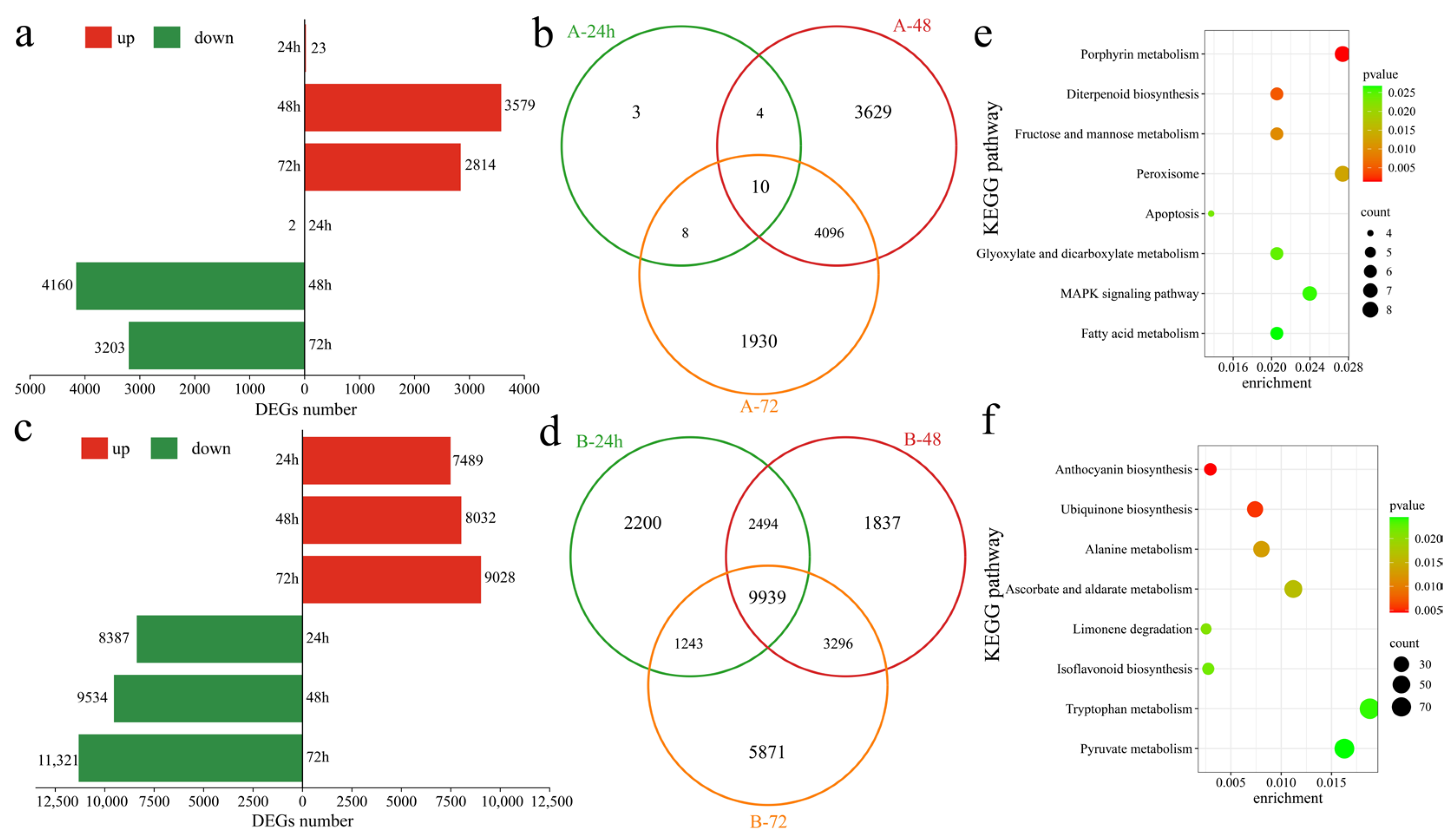 Genes 16 00877 g003