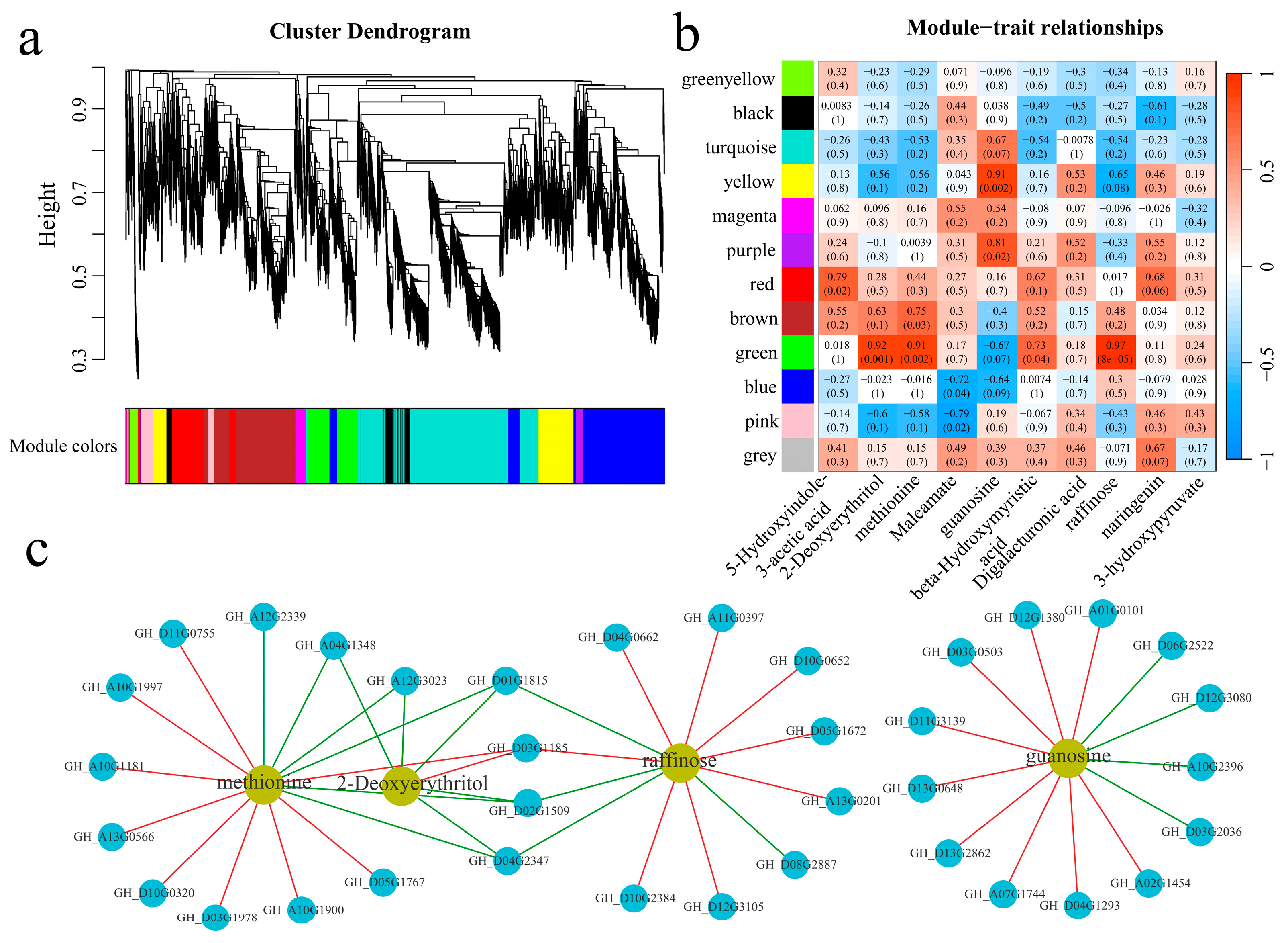 Genes 16 00877 g009
