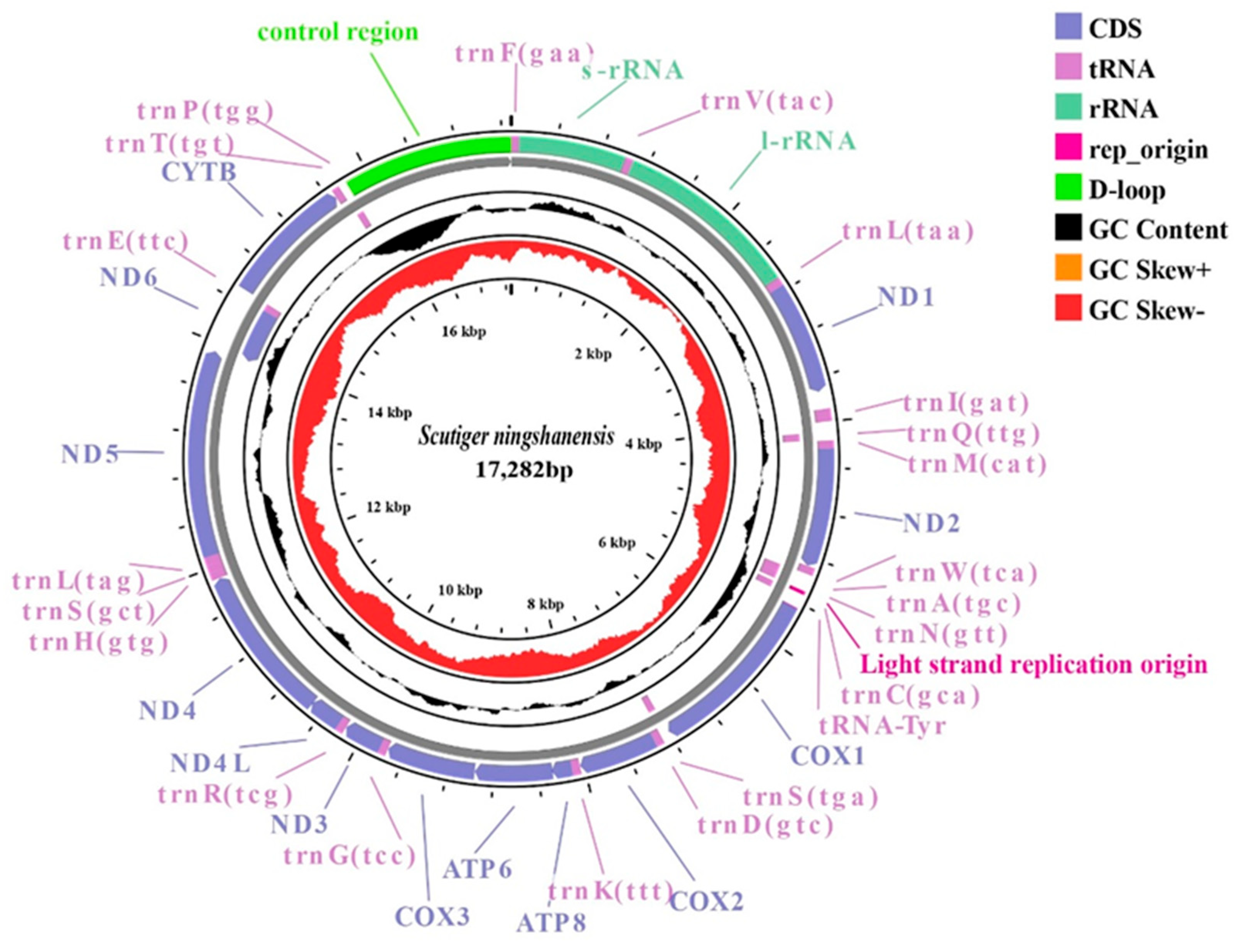 Genes 16 00879 g001 Genes 16 00879 g001