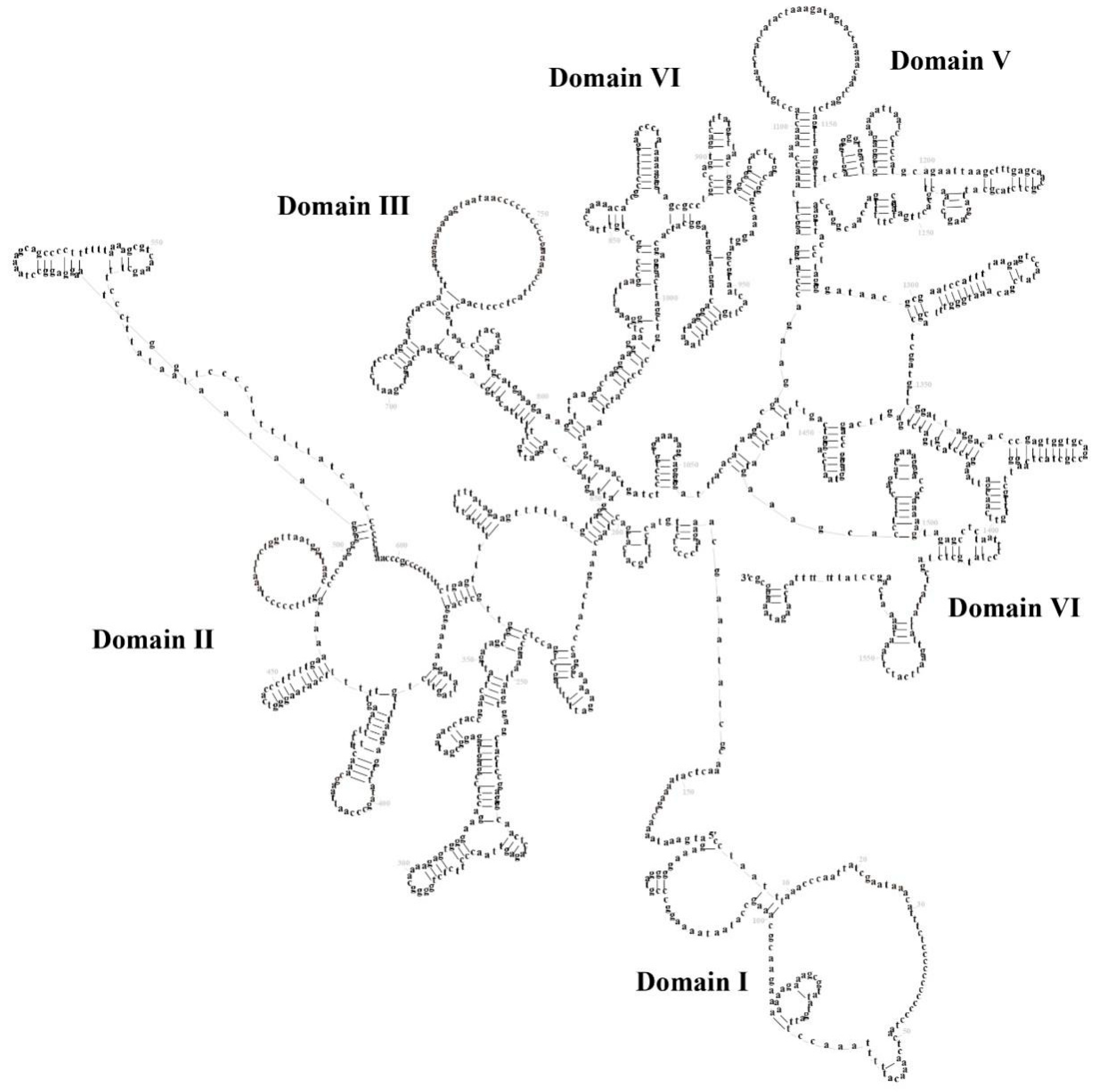 Genes 16 00879 g006 Genes 16 00879 g006
