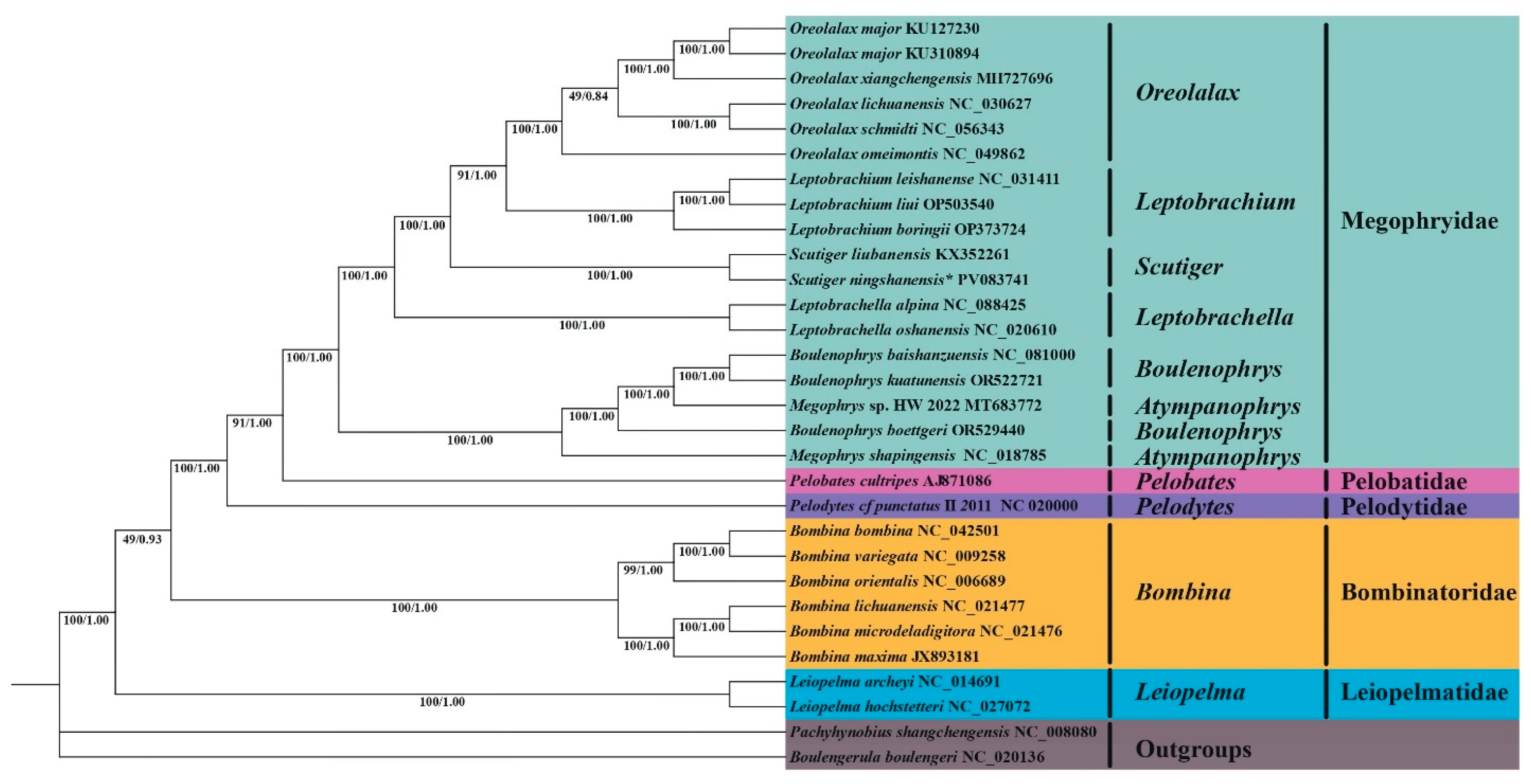Genes 16 00879 g007 Genes 16 00879 g007
