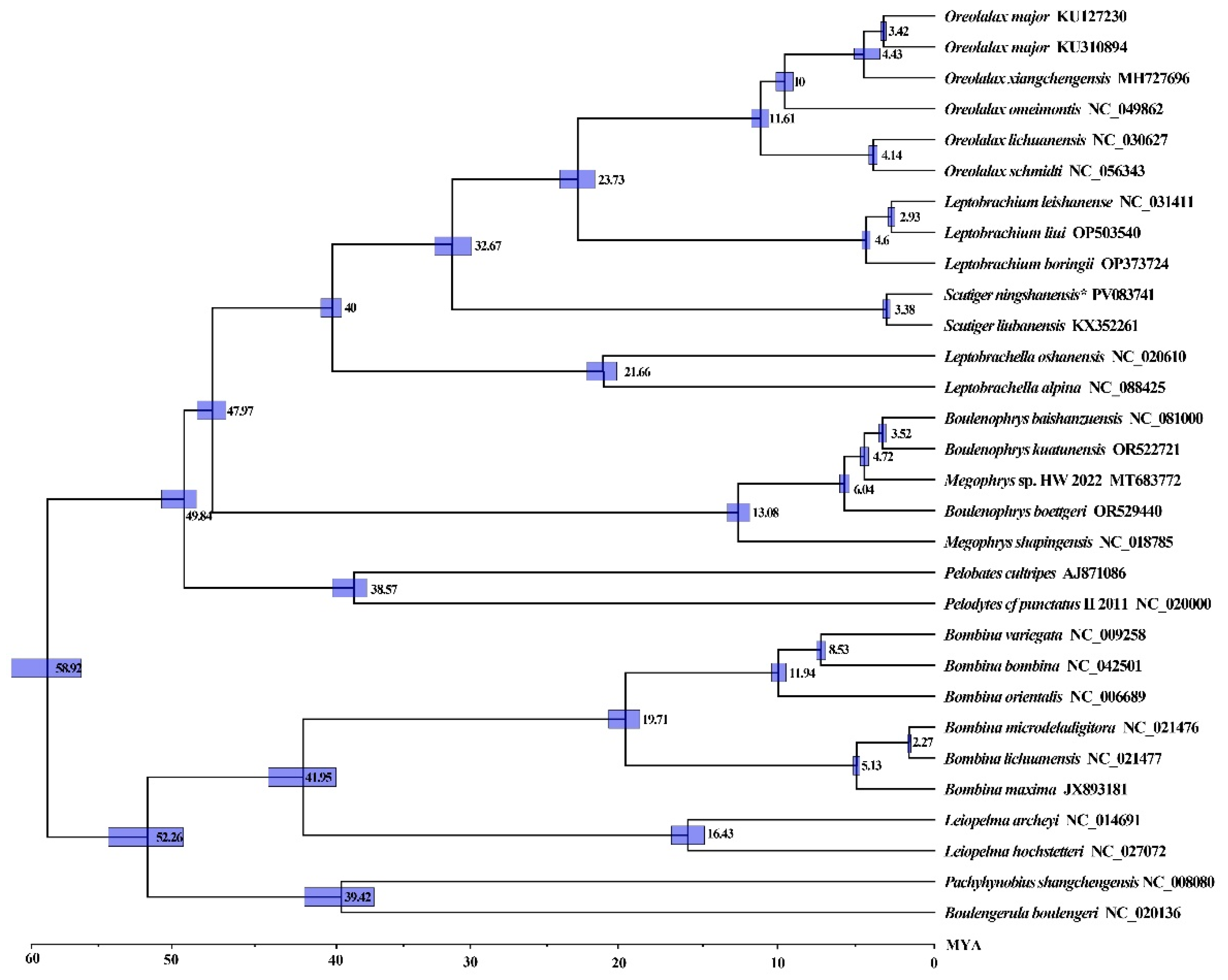 Genes 16 00879 g008 Genes 16 00879 g008