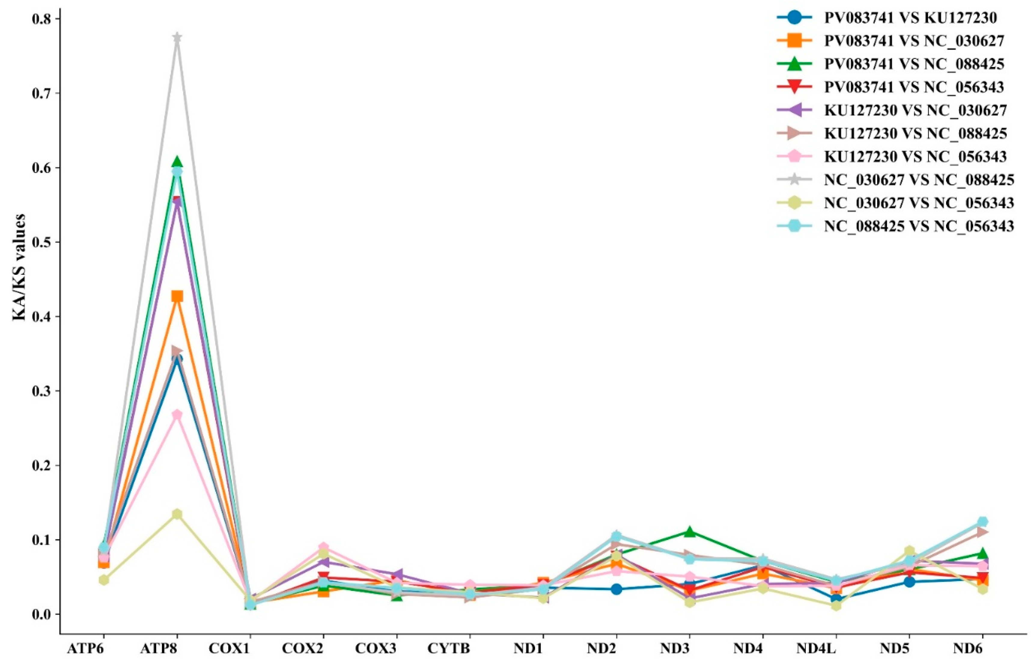 Genes 16 00879 g009 Genes 16 00879 g009