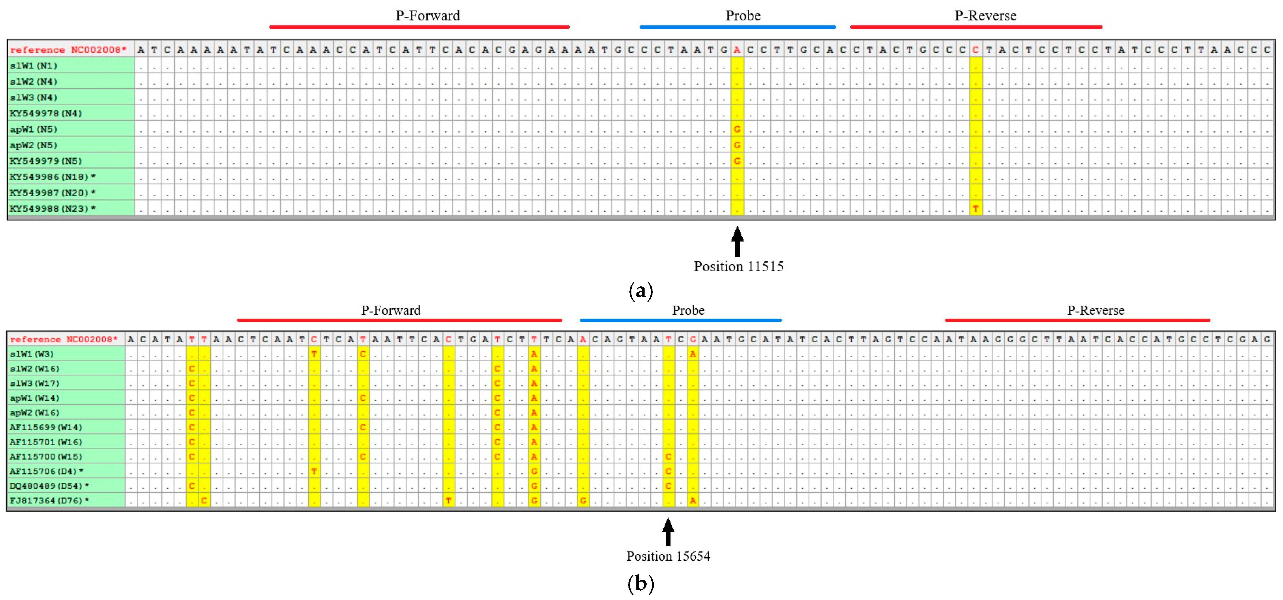 Genes 16 00897 g001