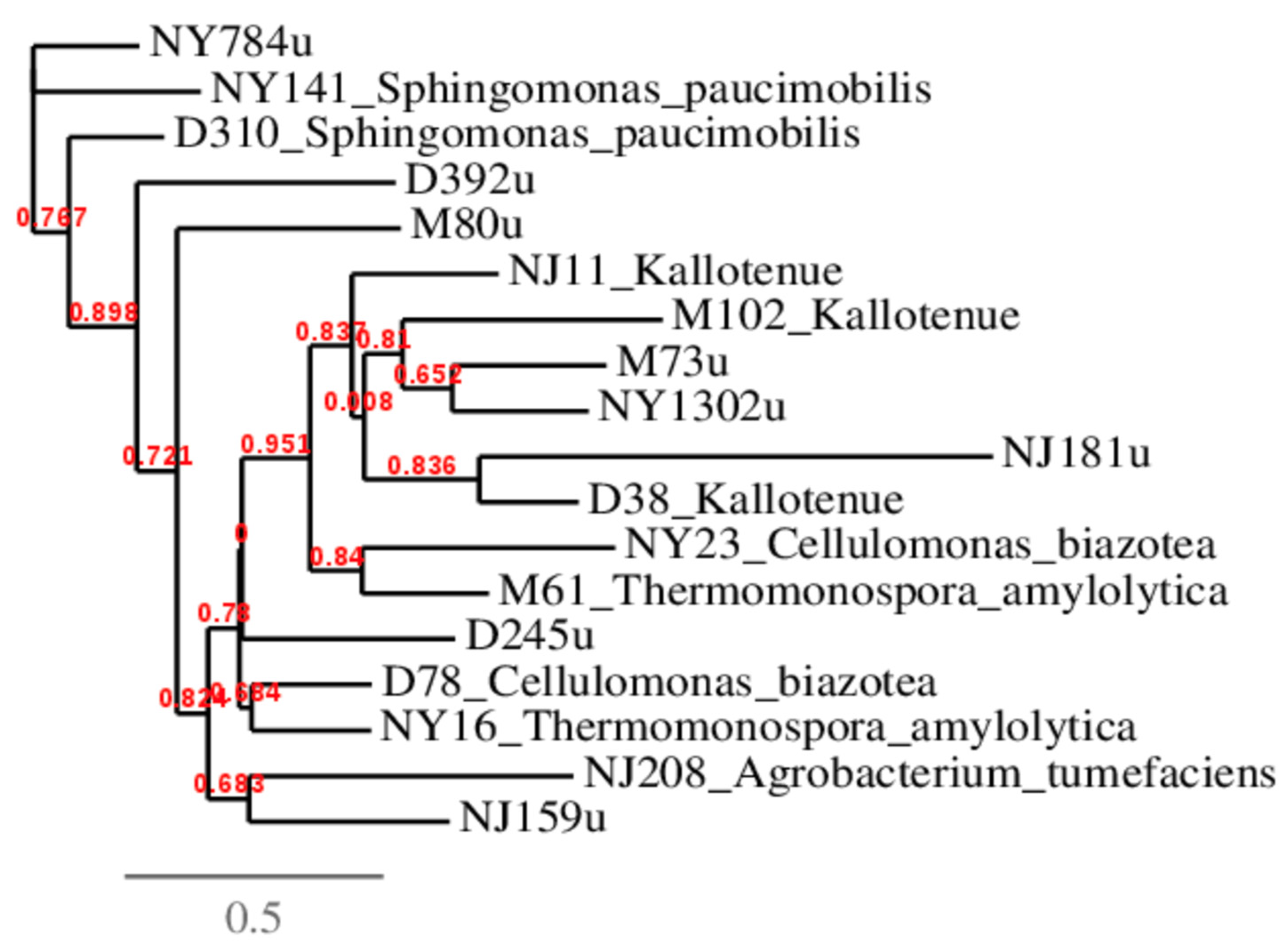 Genes 16 00900 g003