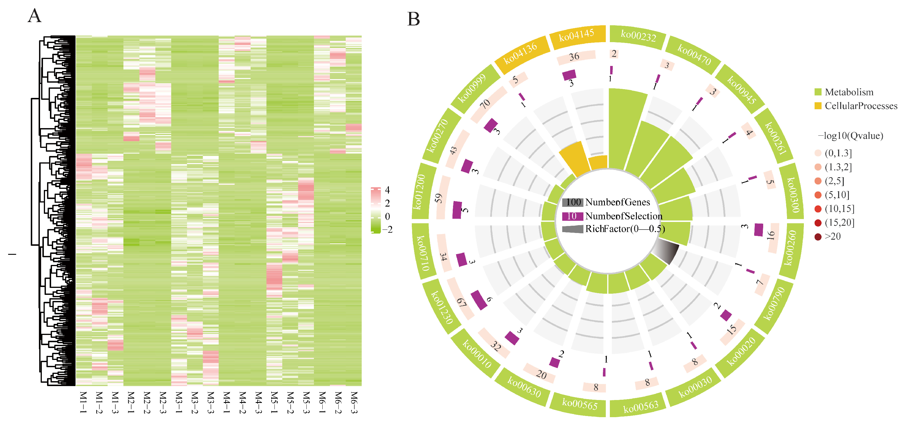 Genes 16 00919 g004