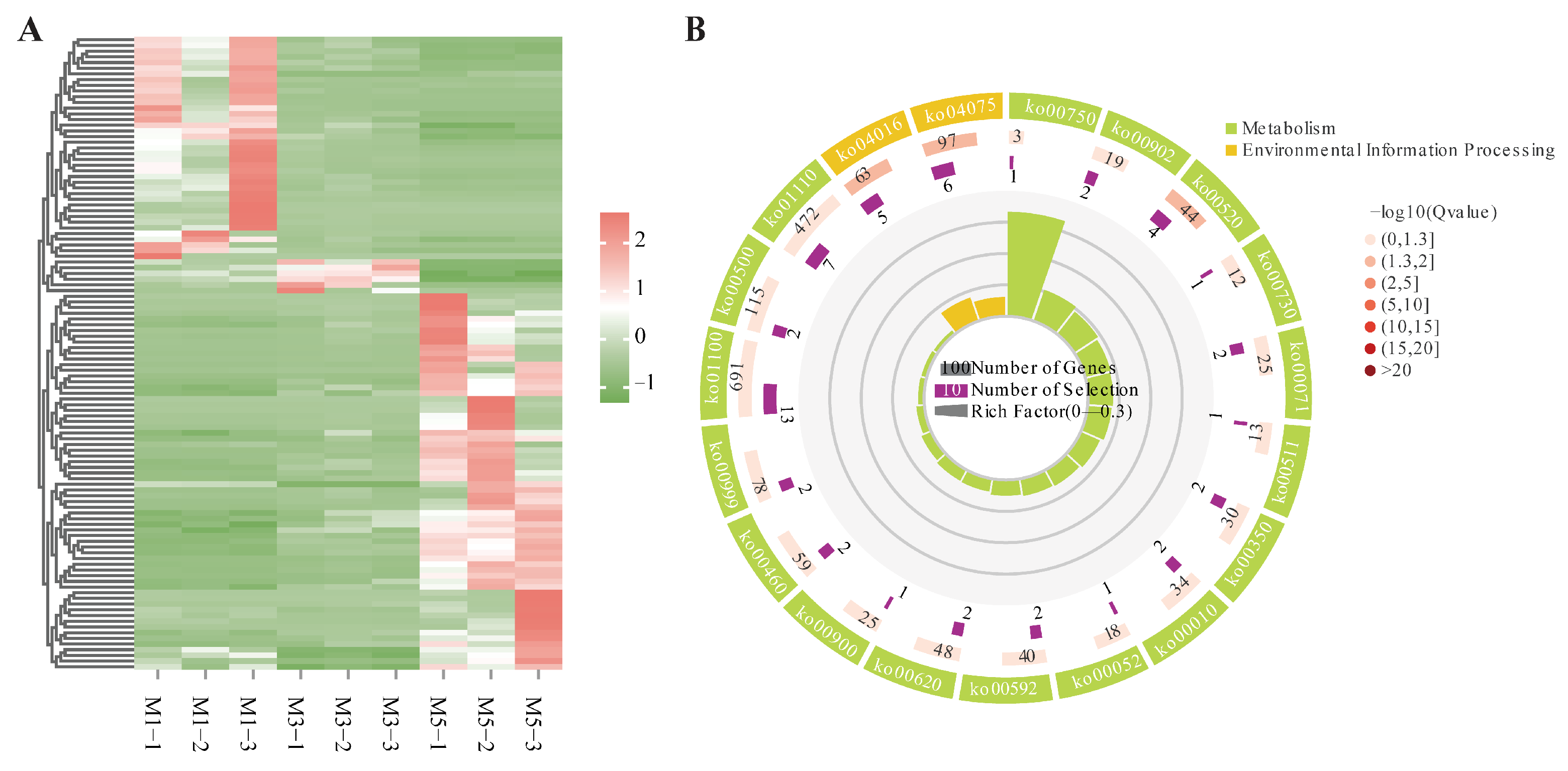 Genes 16 00919 g005