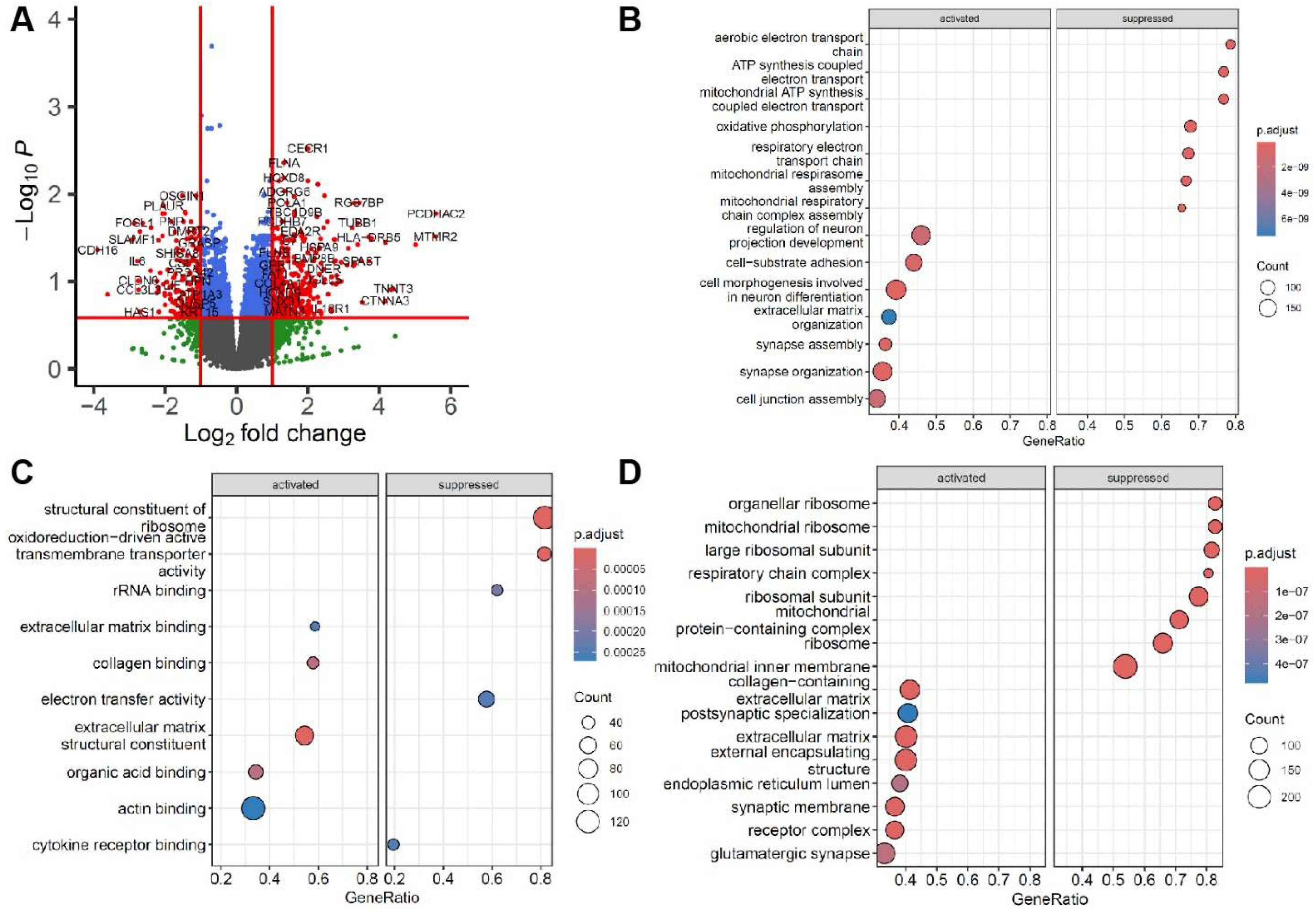 Genes 16 00930 g002 Genes 16 00930 g002