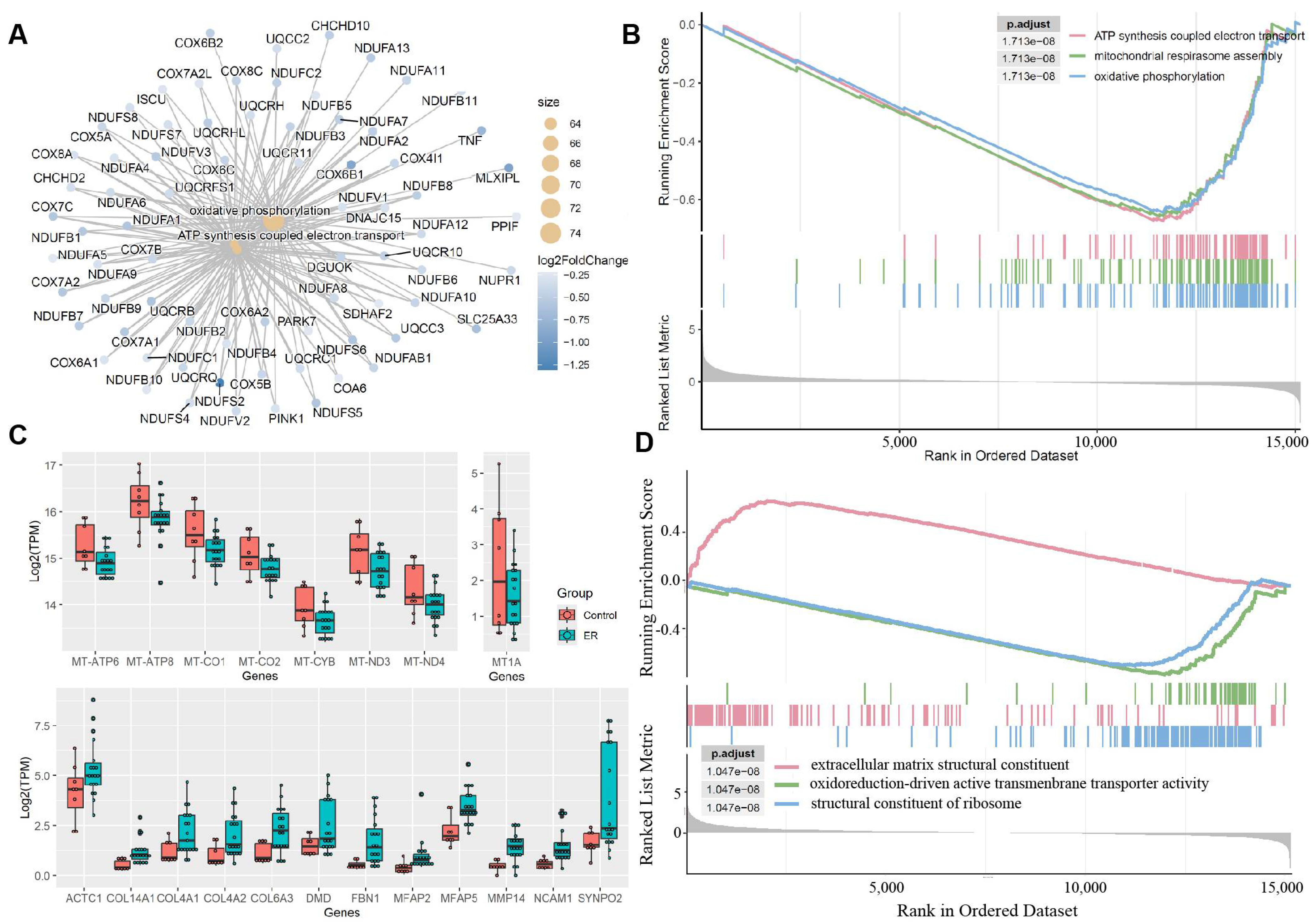 Genes 16 00930 g003 Genes 16 00930 g003