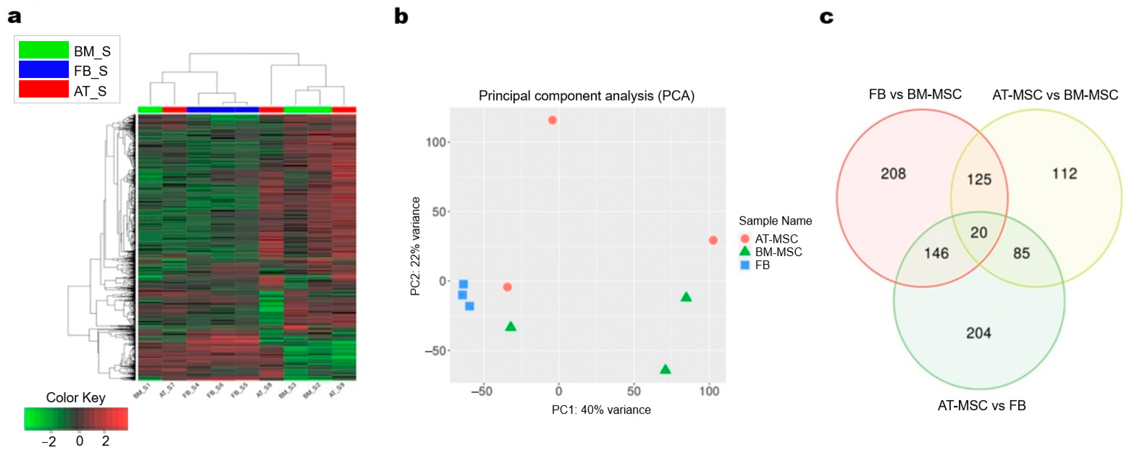 Genes 16 00936 g004