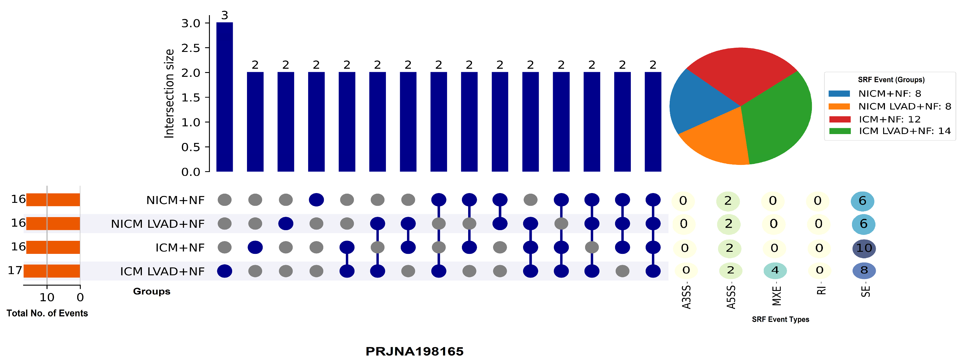 Genes 16 00947 g001 Genes 16 00947 g001