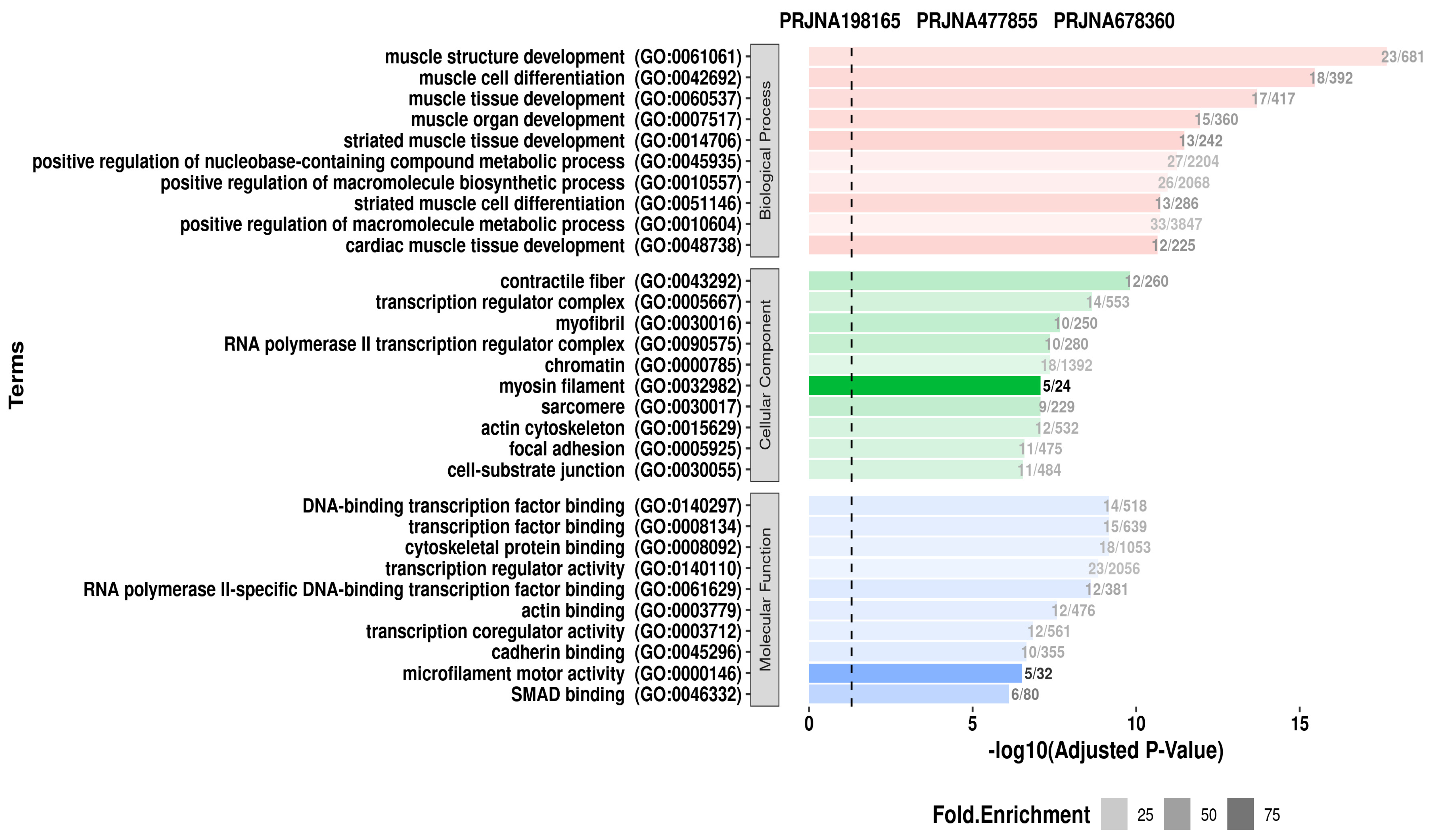 Genes 16 00947 g005 Genes 16 00947 g005