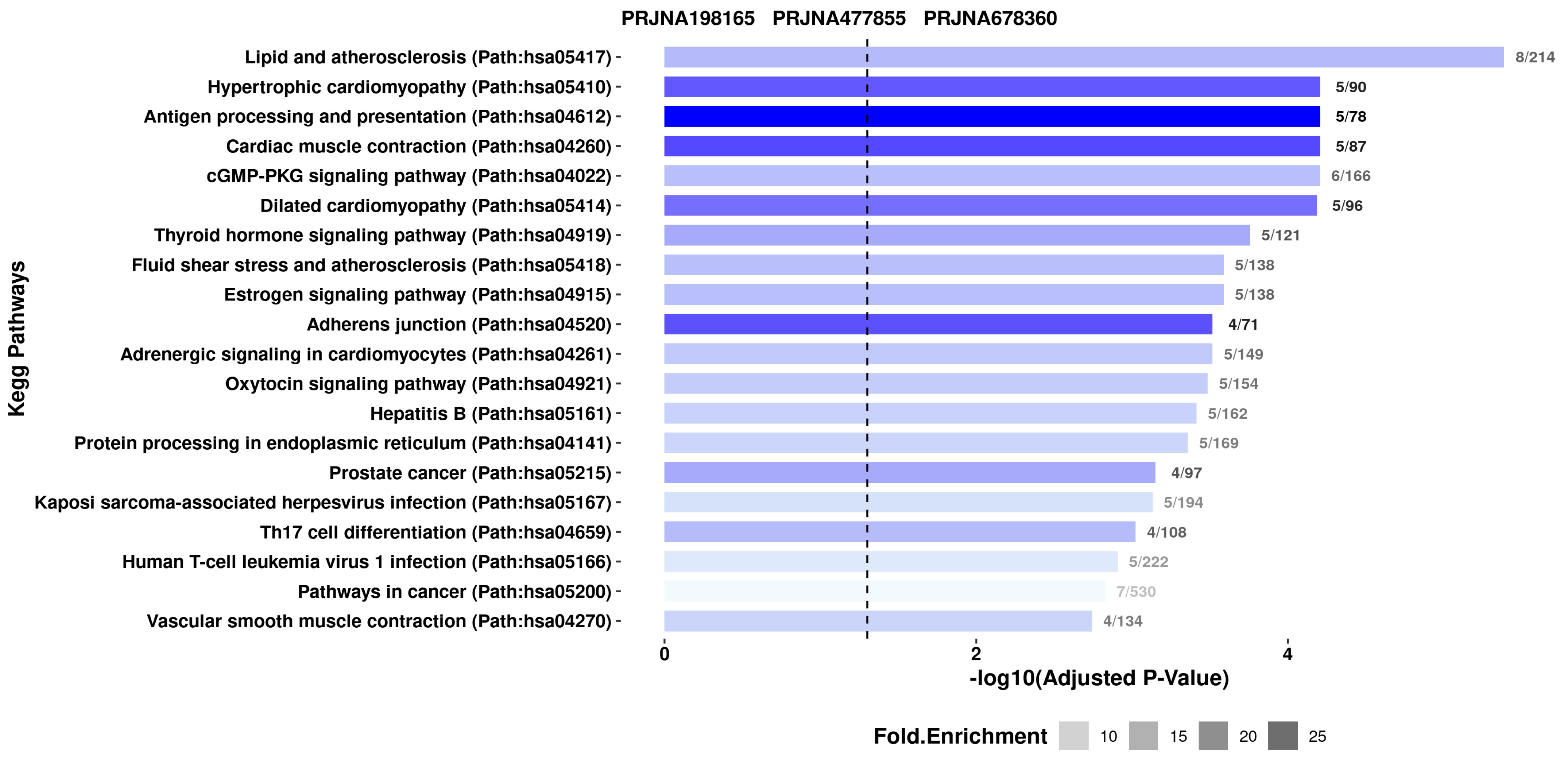 Genes 16 00947 g006 Genes 16 00947 g006