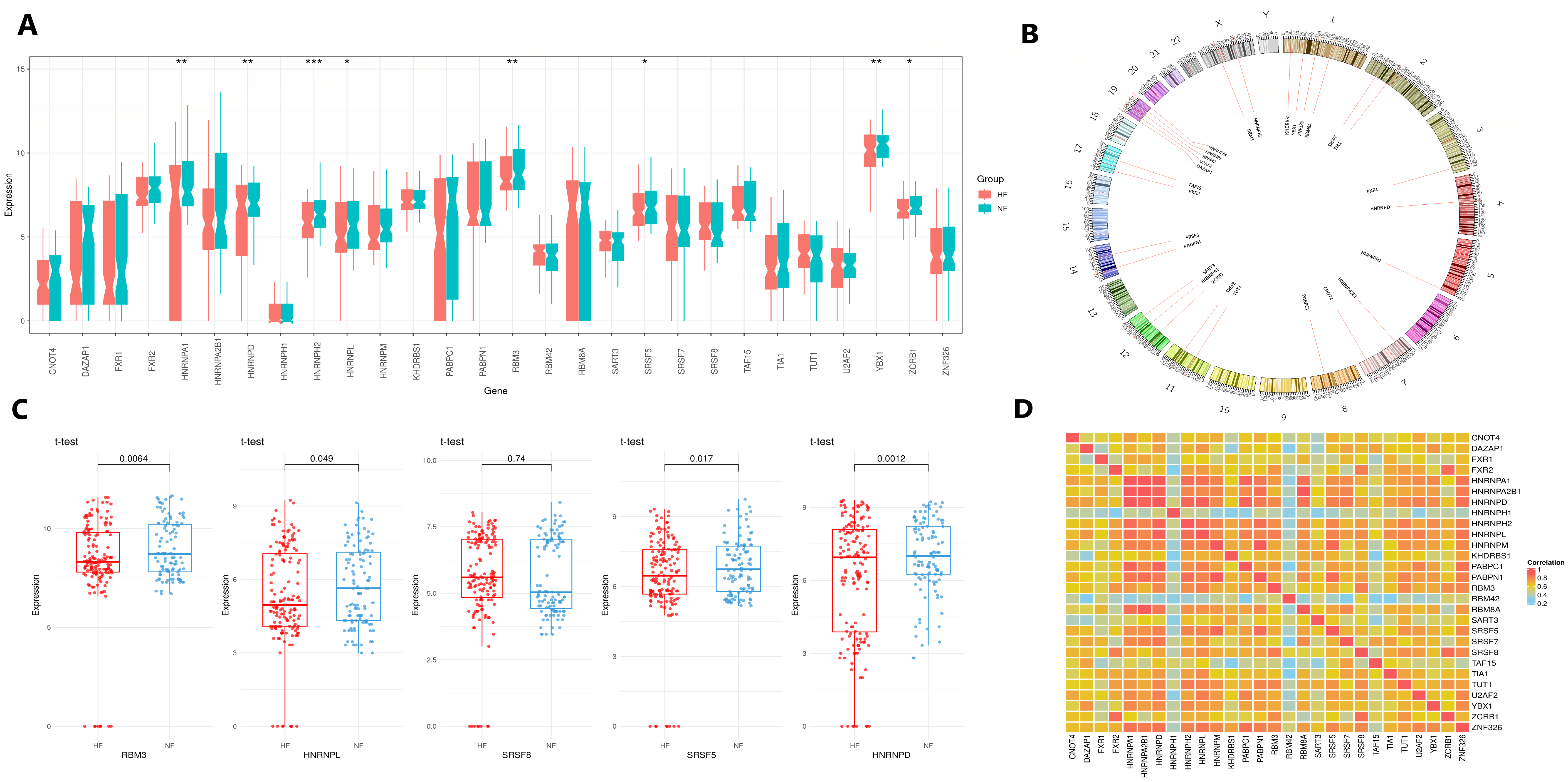 Genes 16 00947 g007 Genes 16 00947 g007