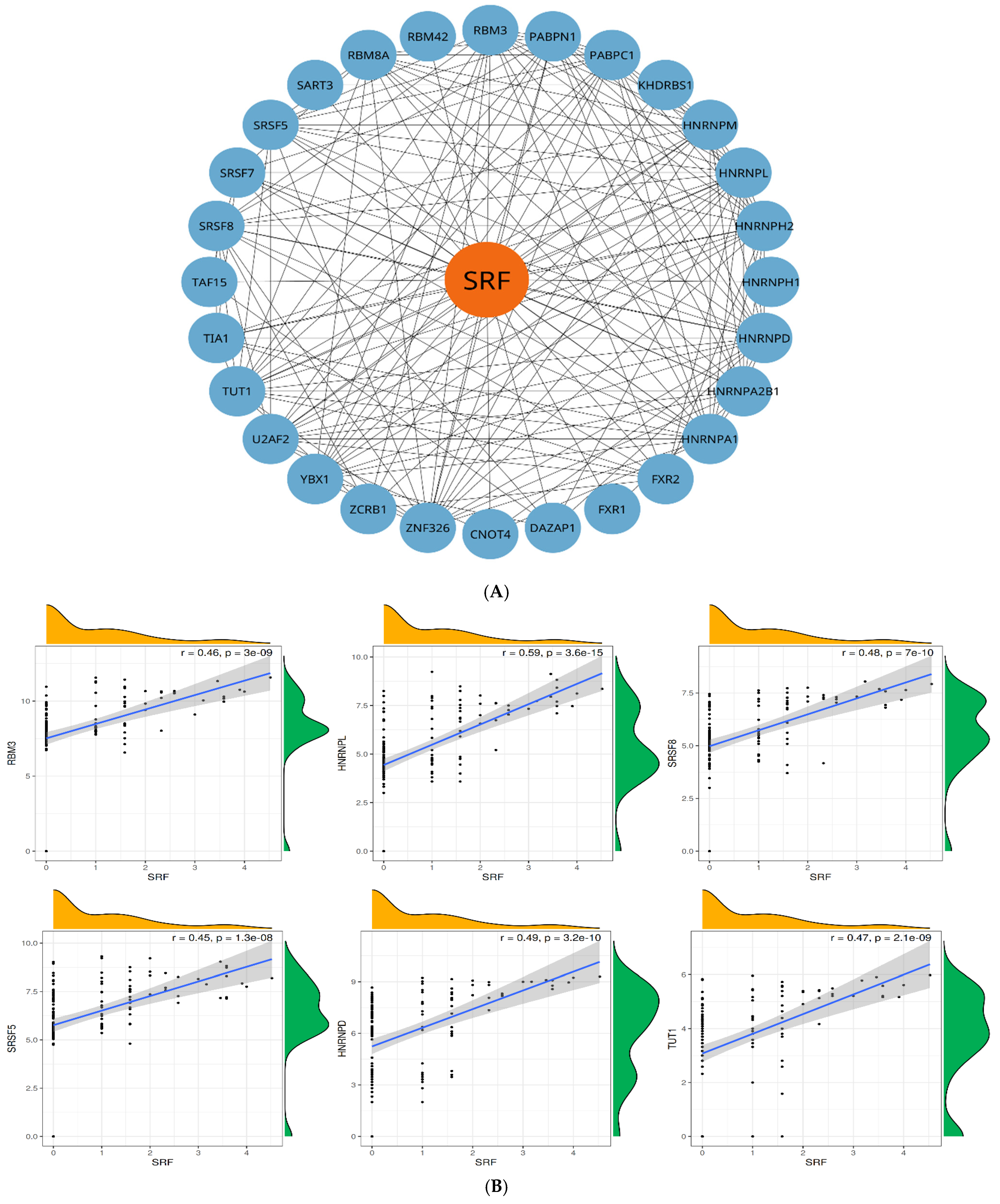 Genes 16 00947 g008 Genes 16 00947 g008