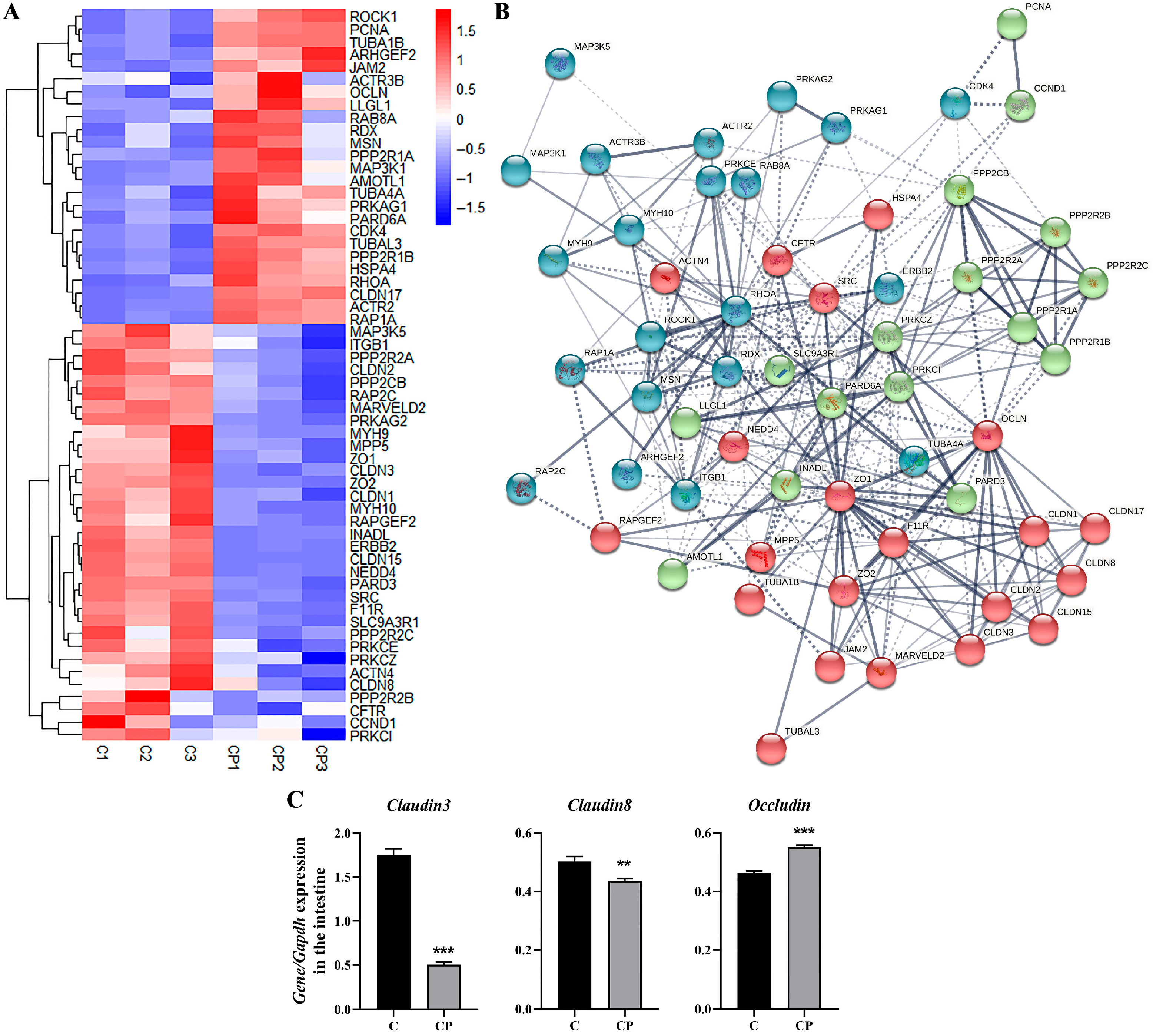 Genes 16 00949 g004 Genes 16 00949 g004