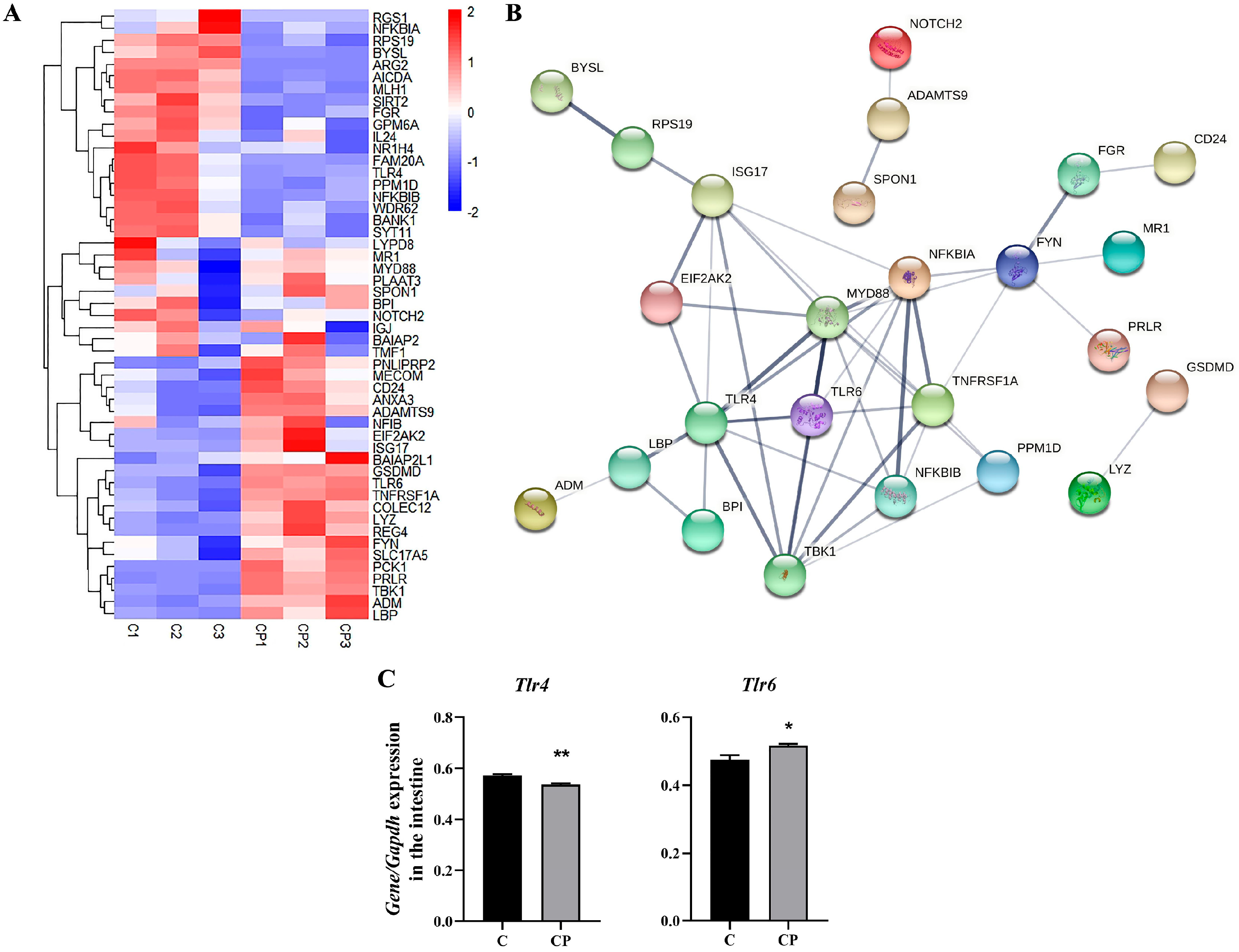 Genes 16 00949 g005 Genes 16 00949 g005