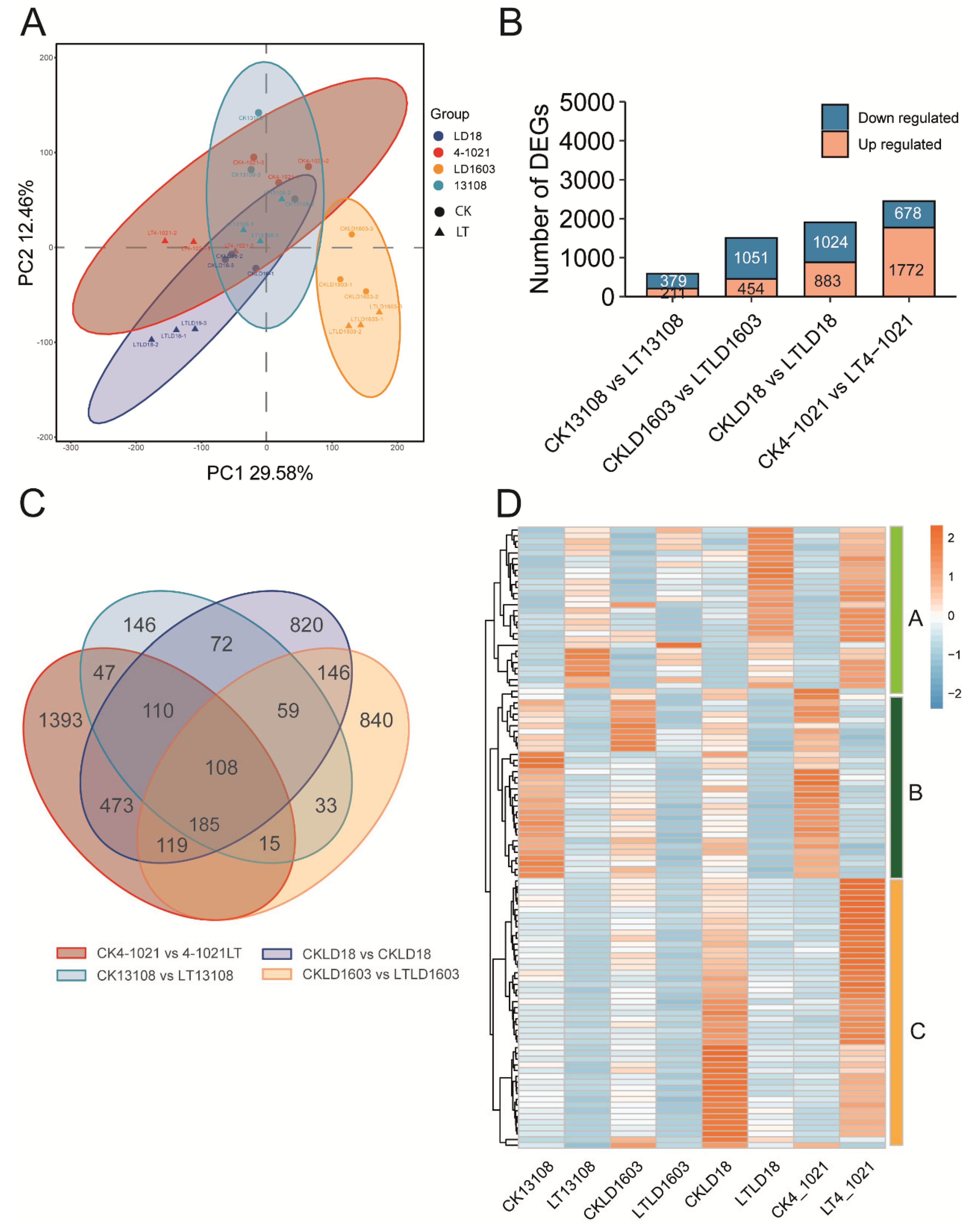 Genes 16 00950 g002