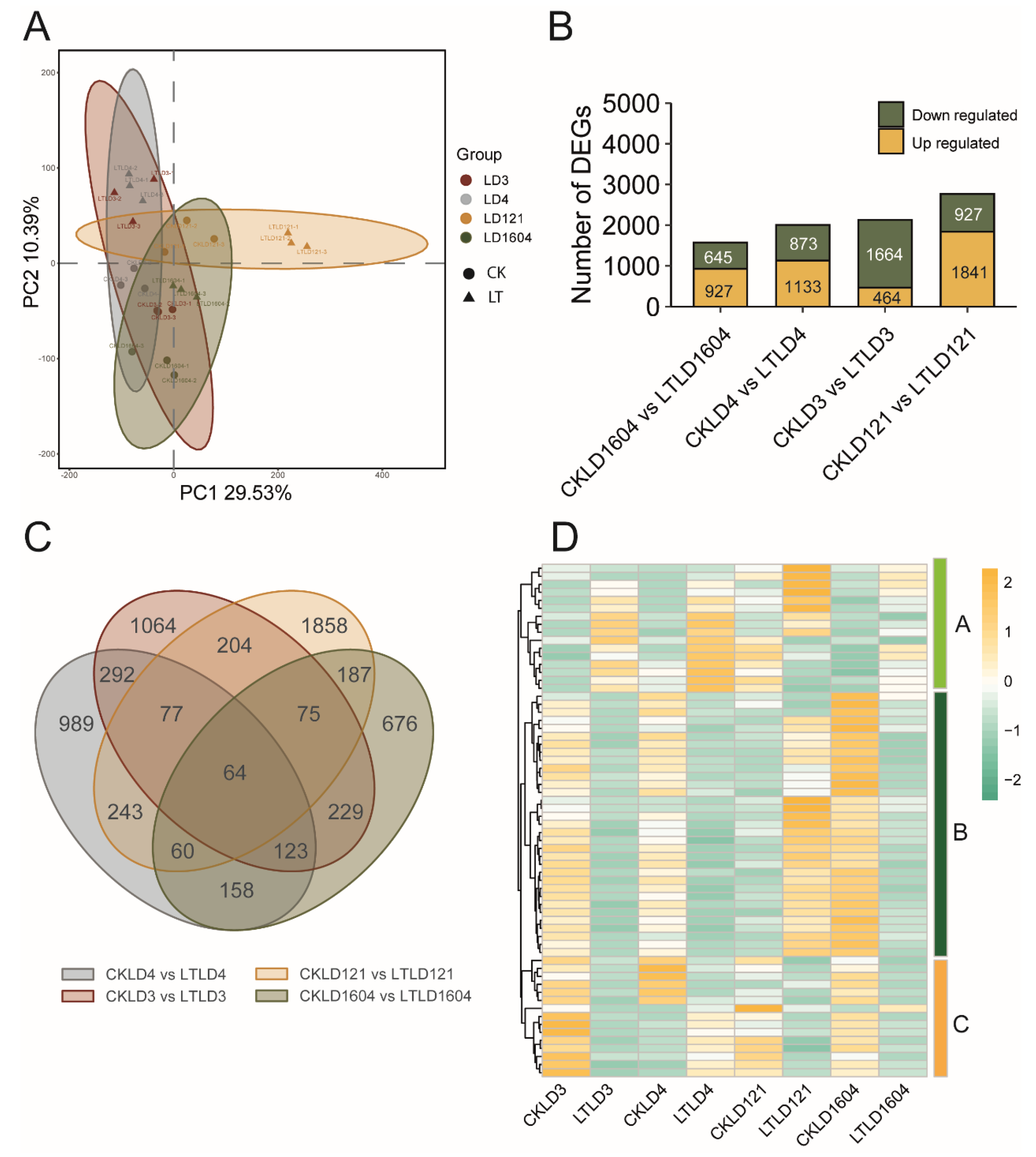Genes 16 00950 g004