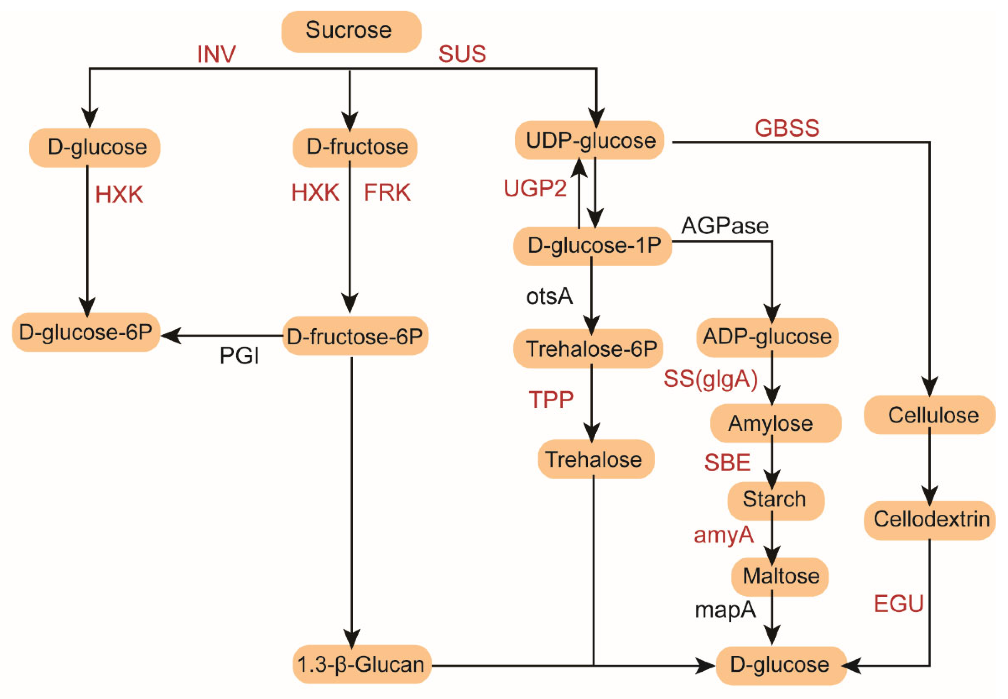 Genes 16 00950 g005a