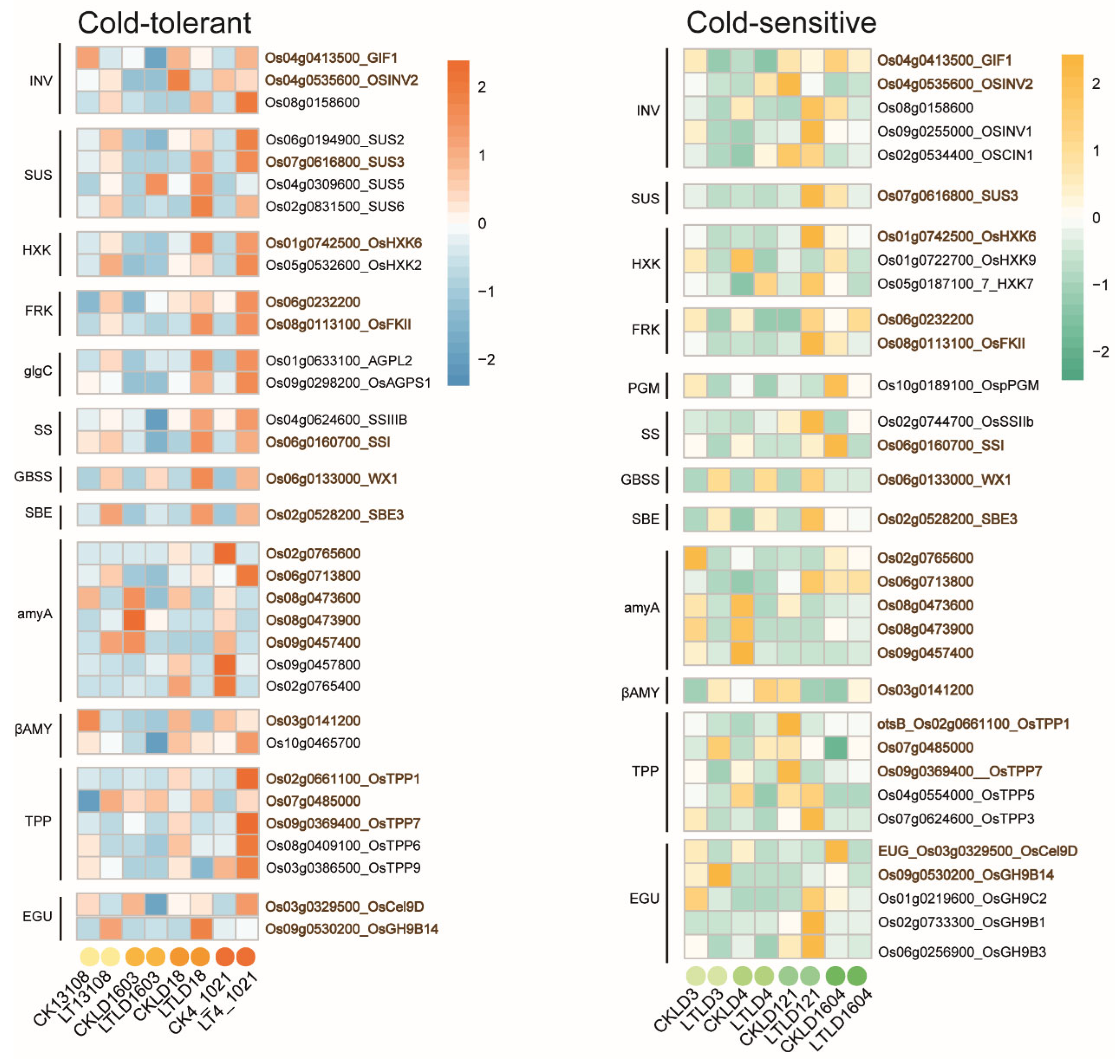 Genes 16 00950 g005b