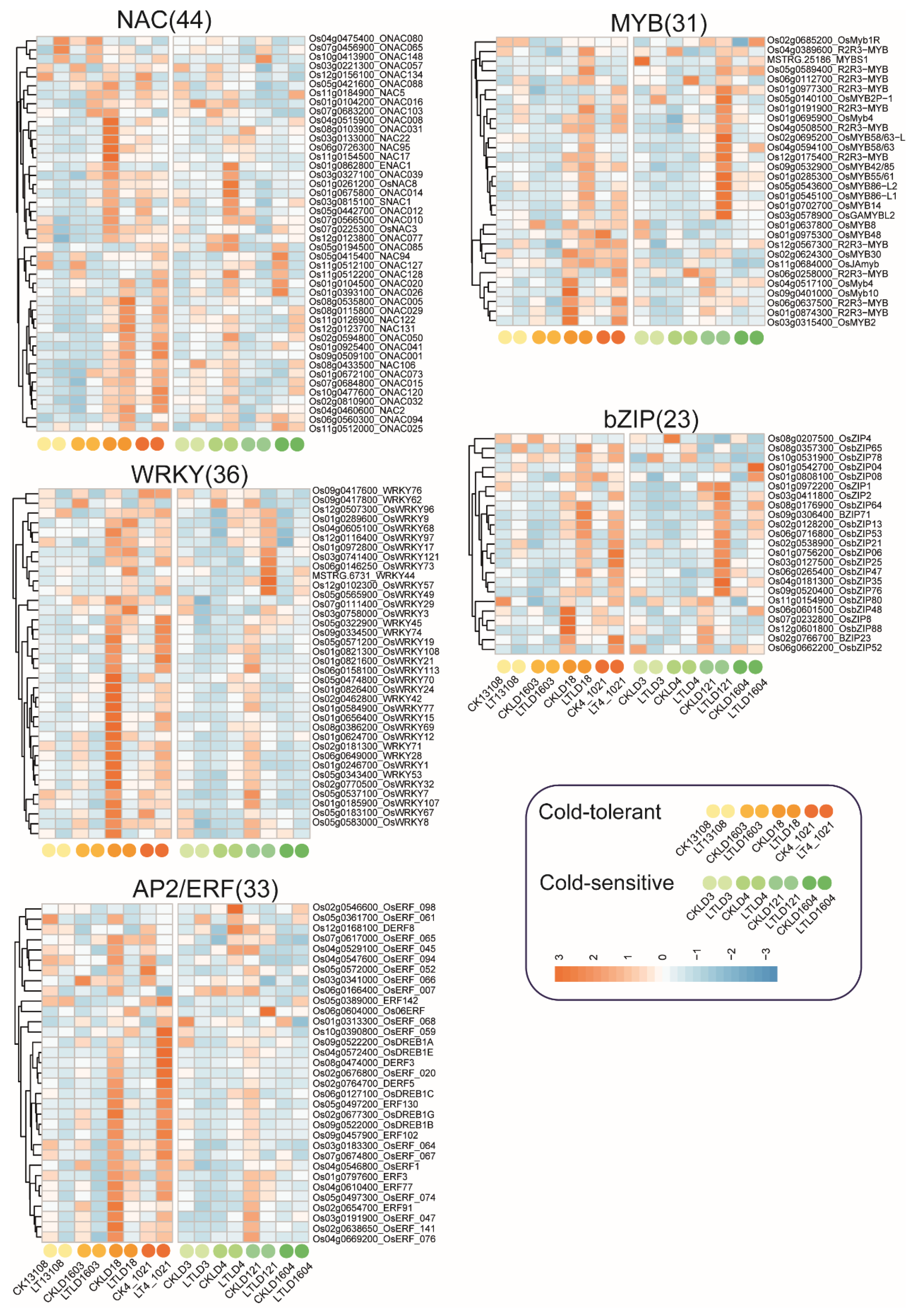 Genes 16 00950 g006