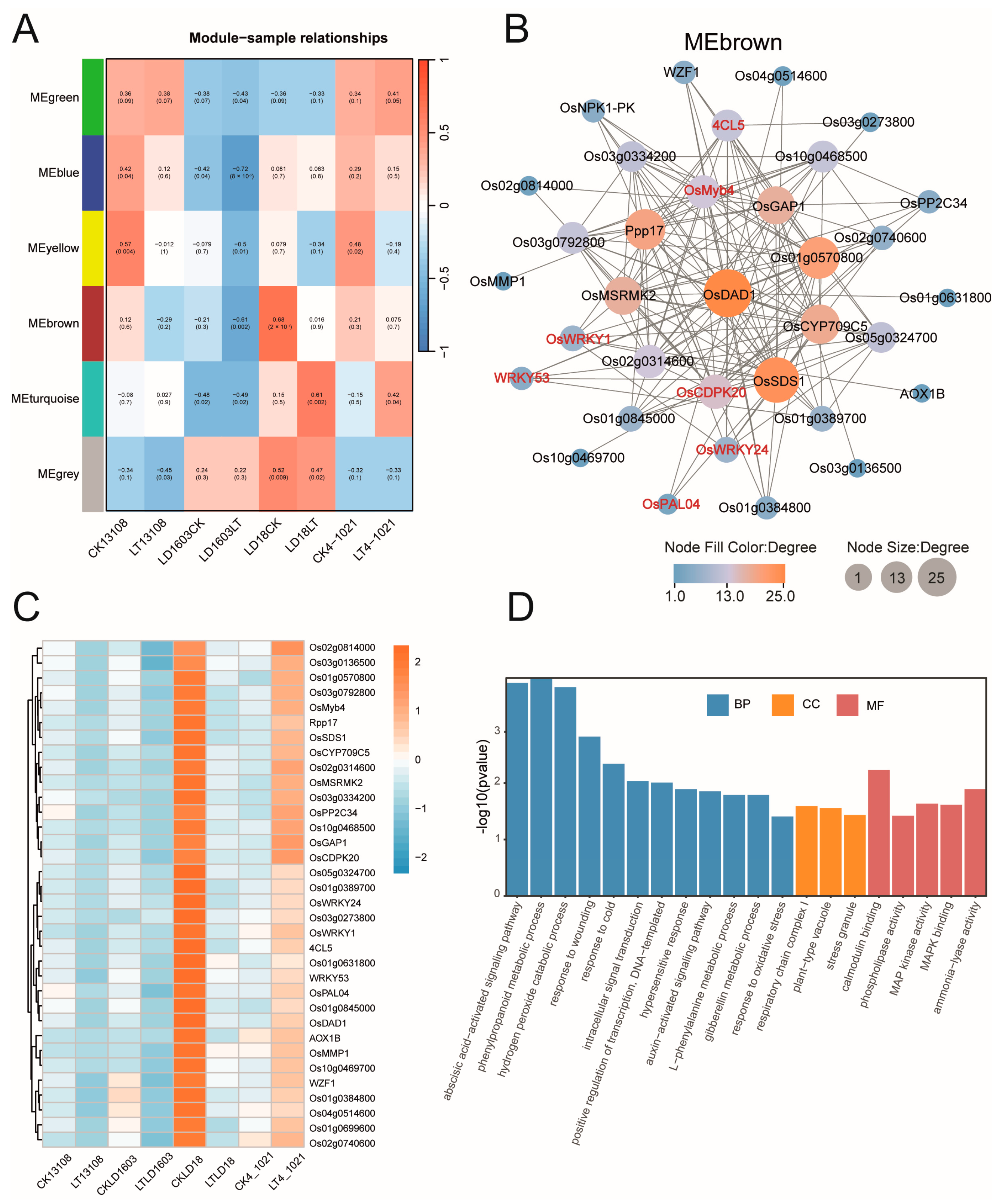 Genes 16 00950 g007