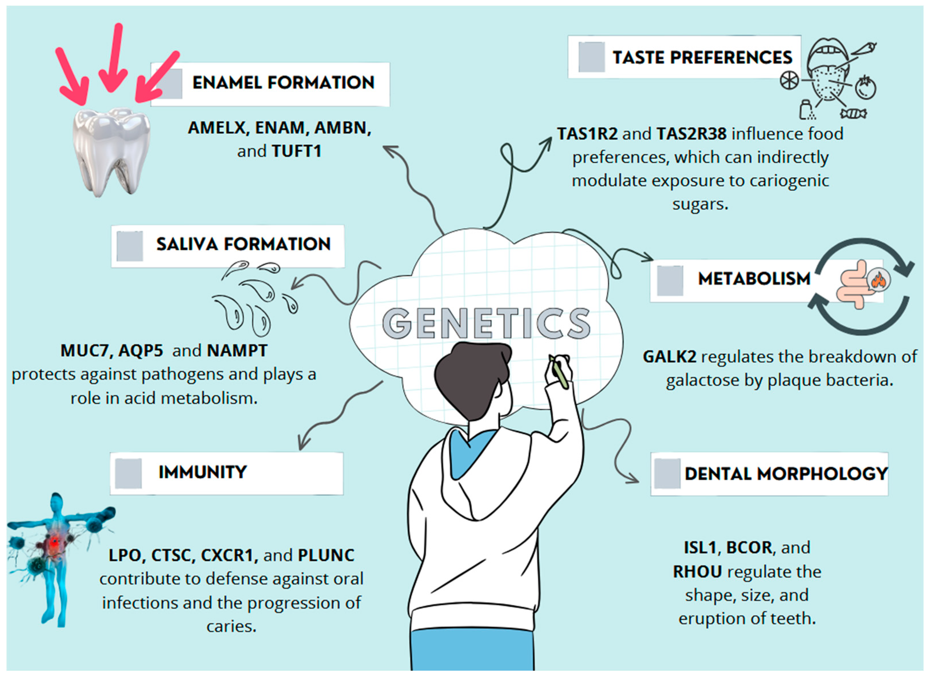 Genes 16 00952 g001 Genes 16 00952 g001