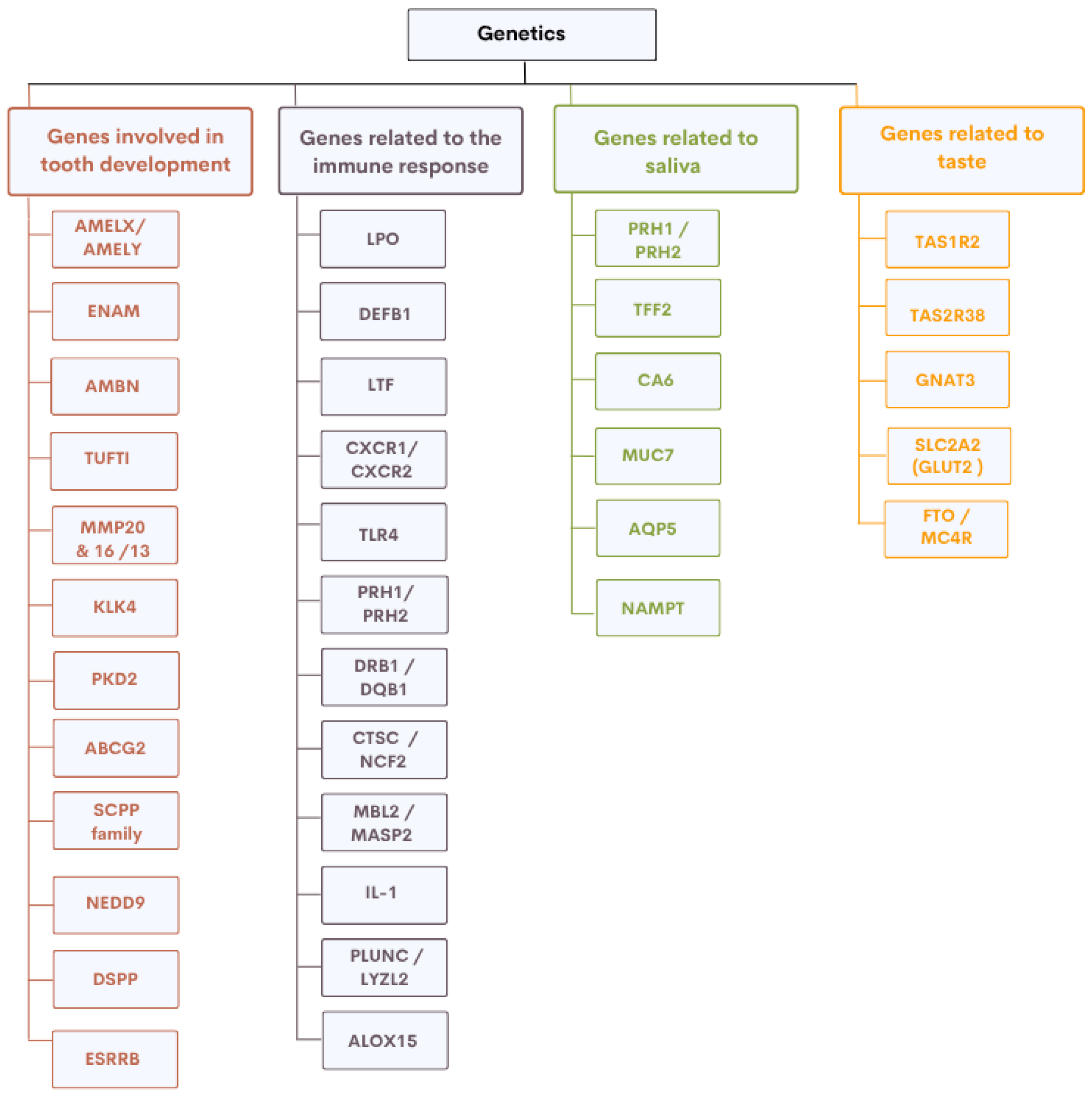 Genes 16 00952 g002 Genes 16 00952 g002