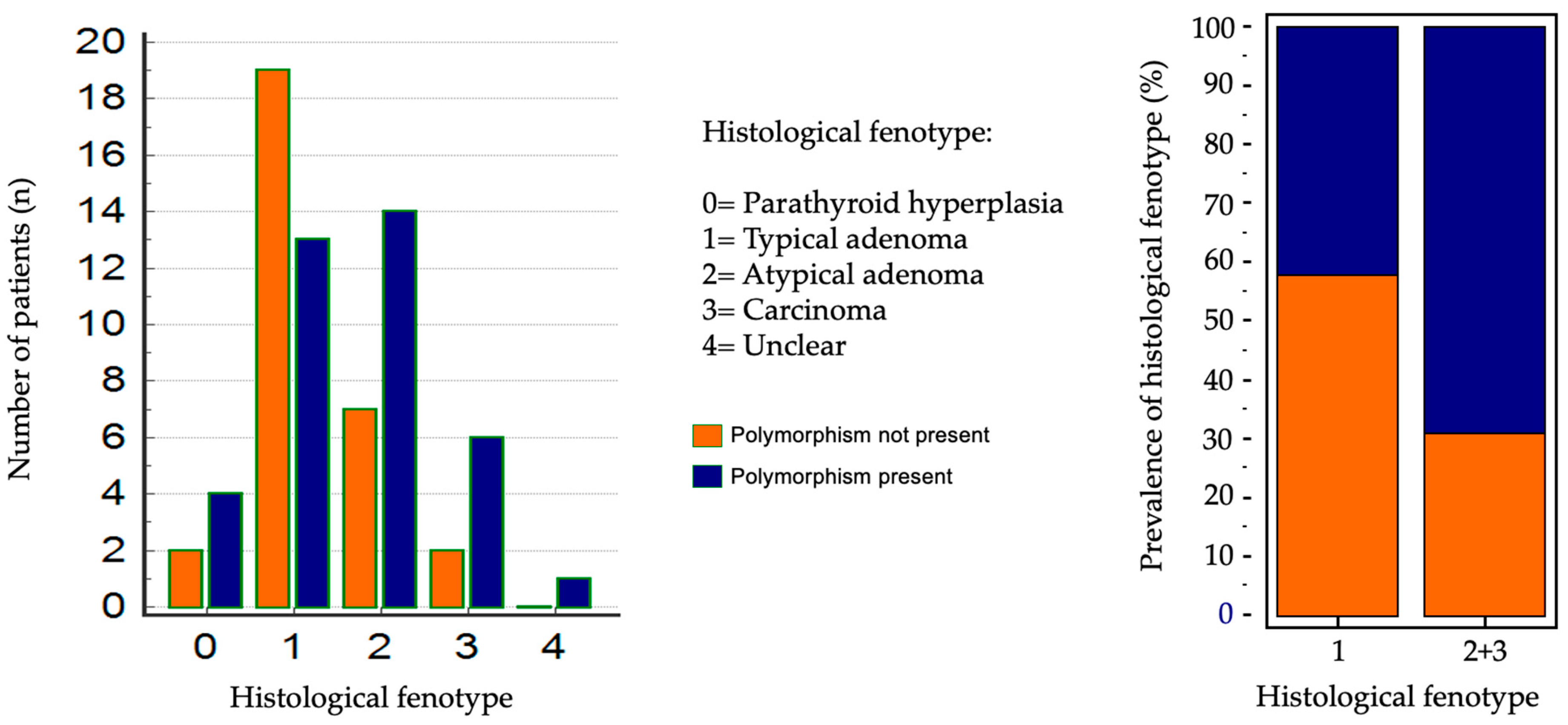 Genes 16 00974 g005 Genes 16 00974 g005
