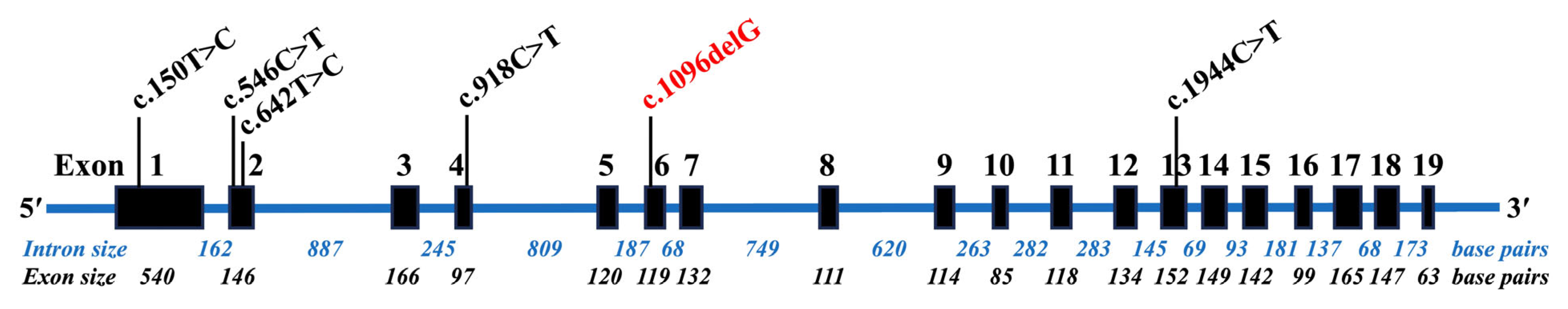 Genes 16 00975 g001 Genes 16 00975 g001