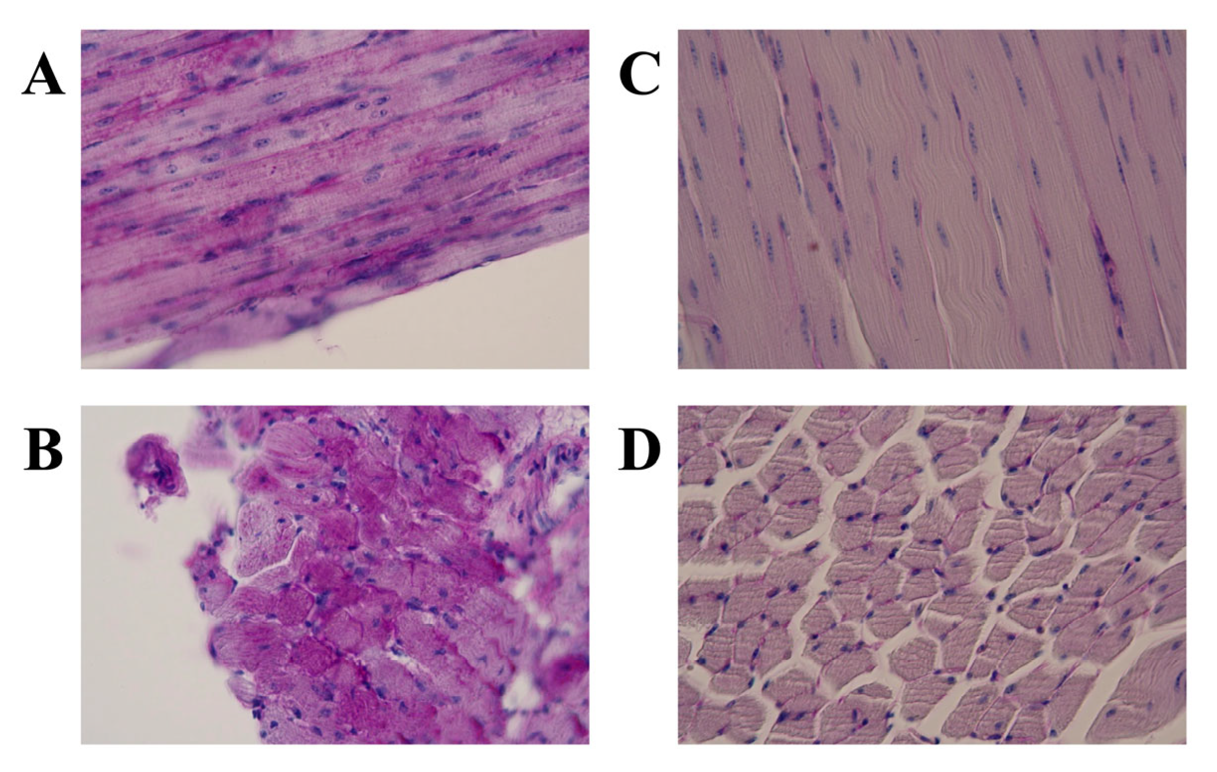 Genes 16 00975 g003 Genes 16 00975 g003