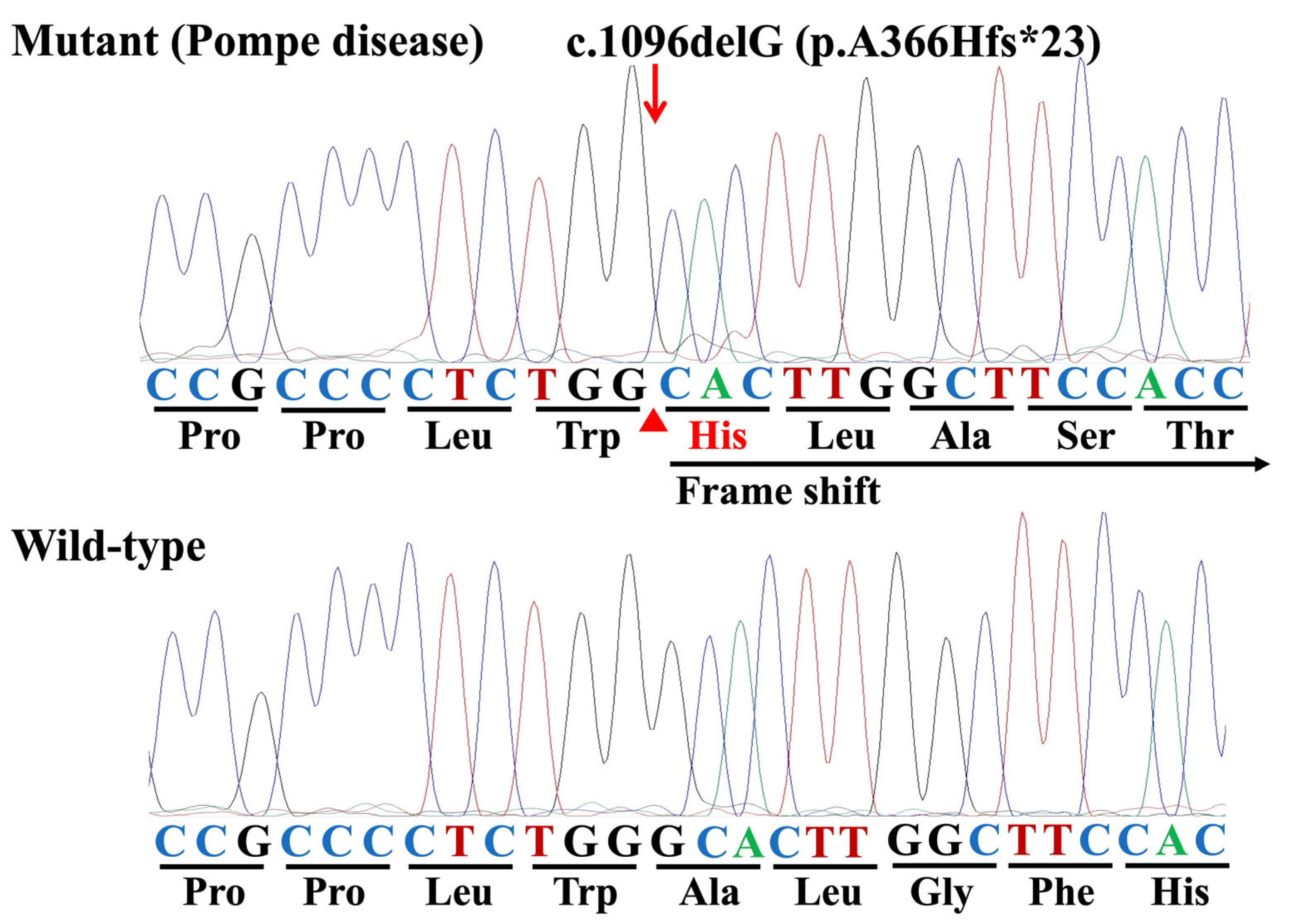Genes 16 00975 g004 Genes 16 00975 g004
