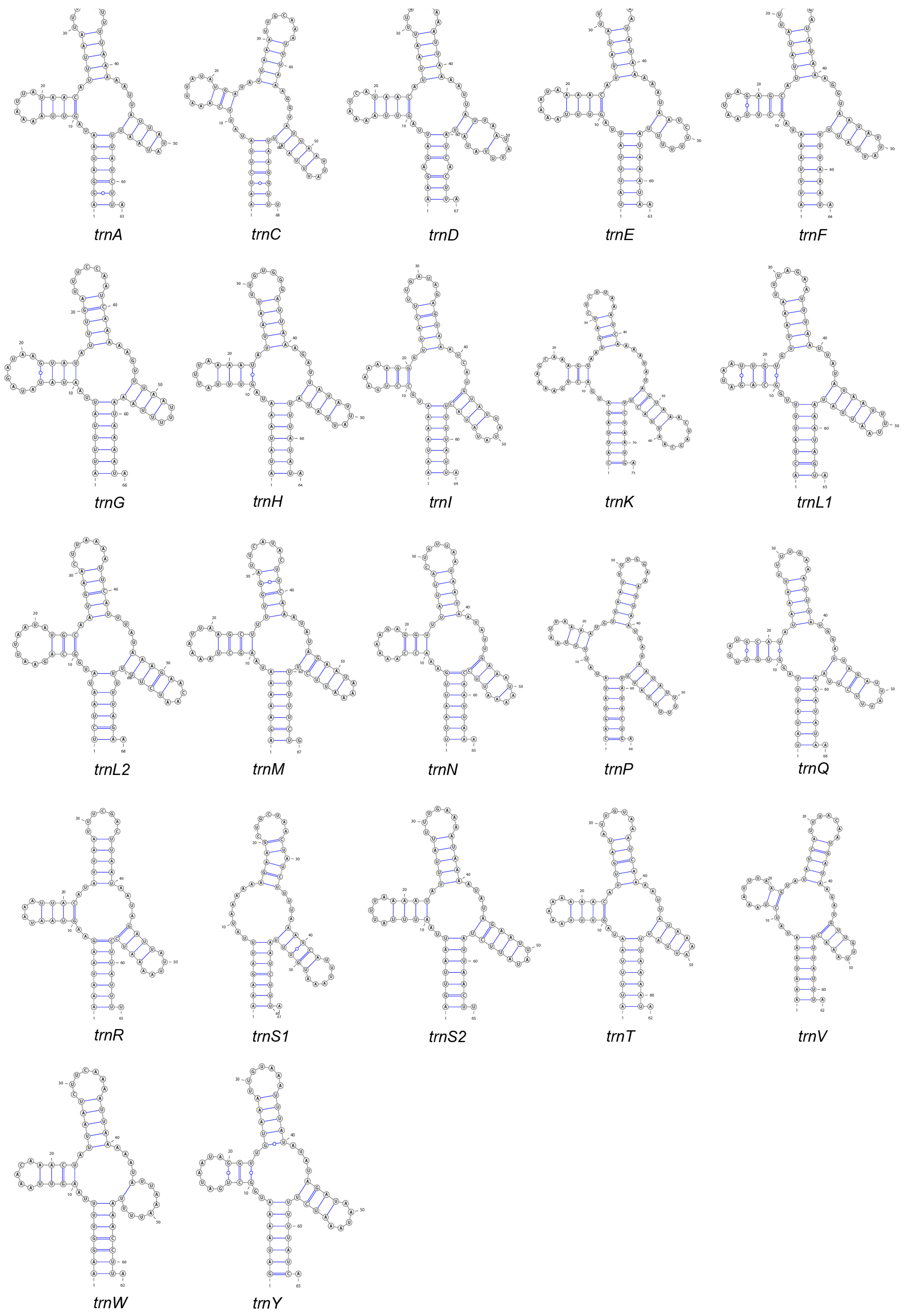 Genes 16 00979 g003 Genes 16 00979 g003