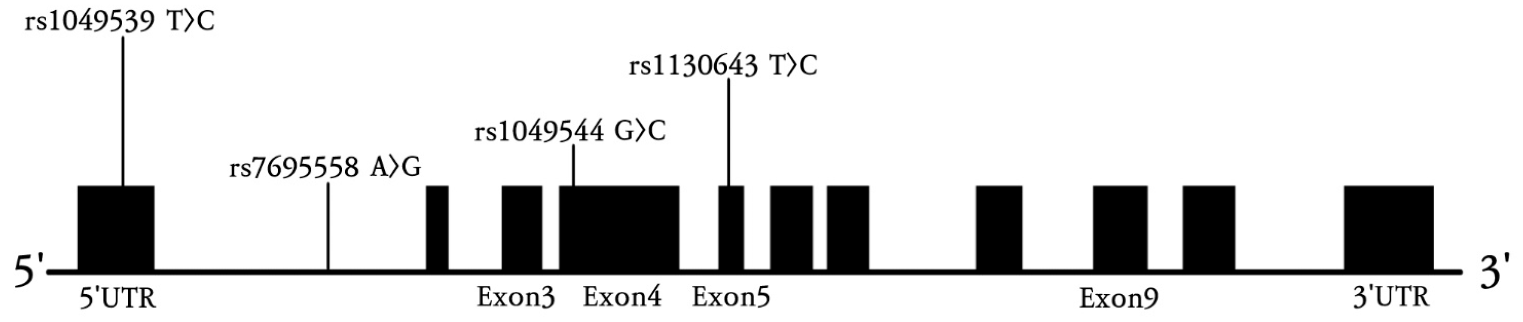 Genes 16 01007 g002 Genes 16 01007 g002