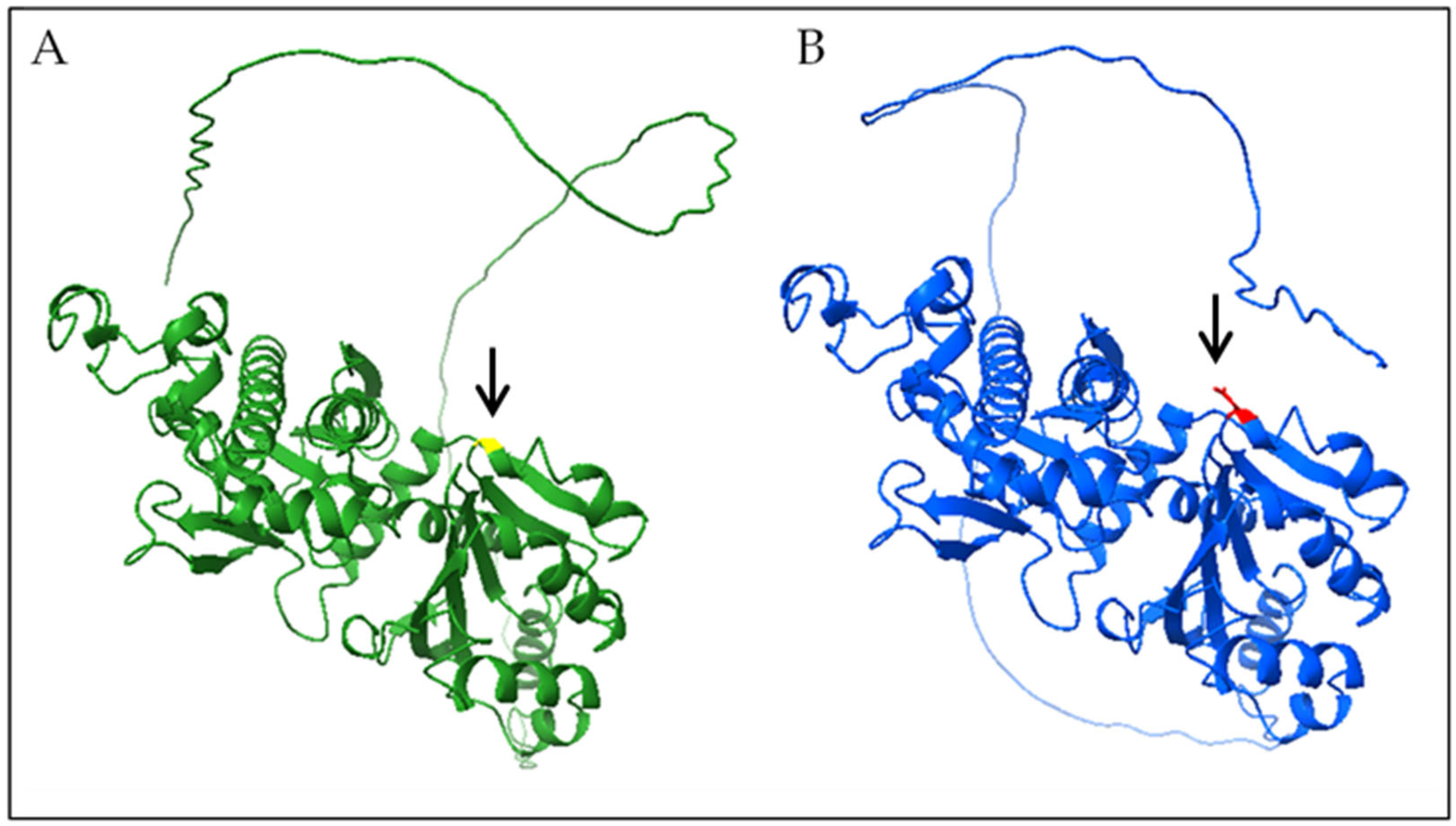 Genes 16 01008 g002