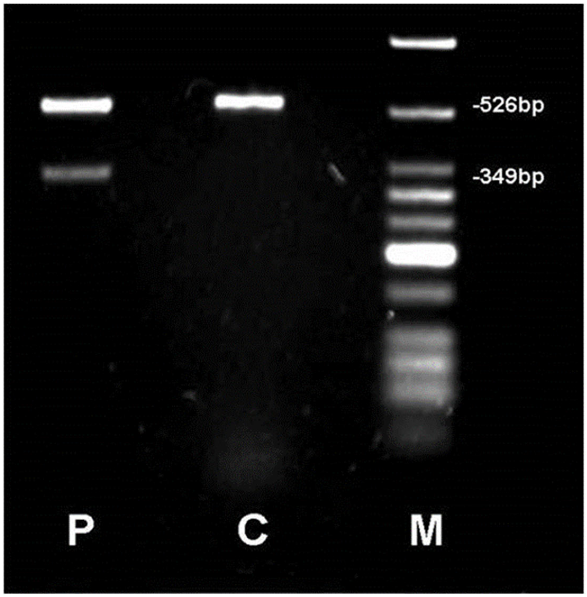 Genes 16 01008 g003
