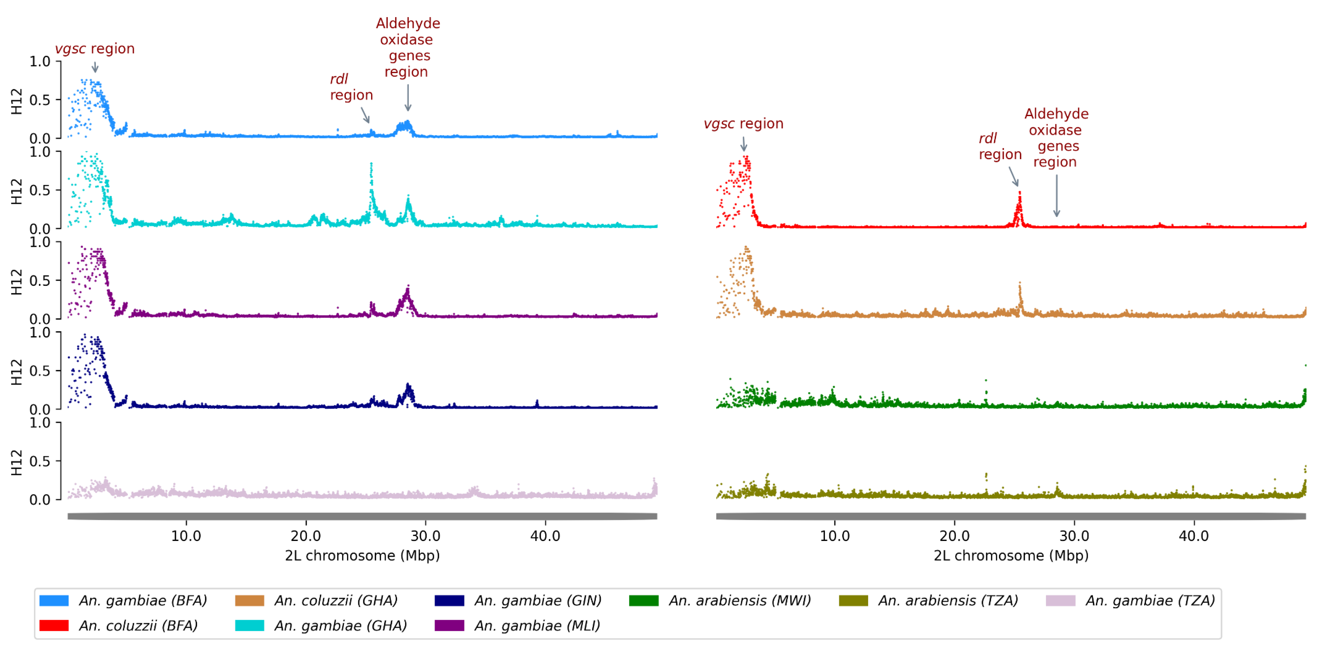 Genes 16 01018 g002
