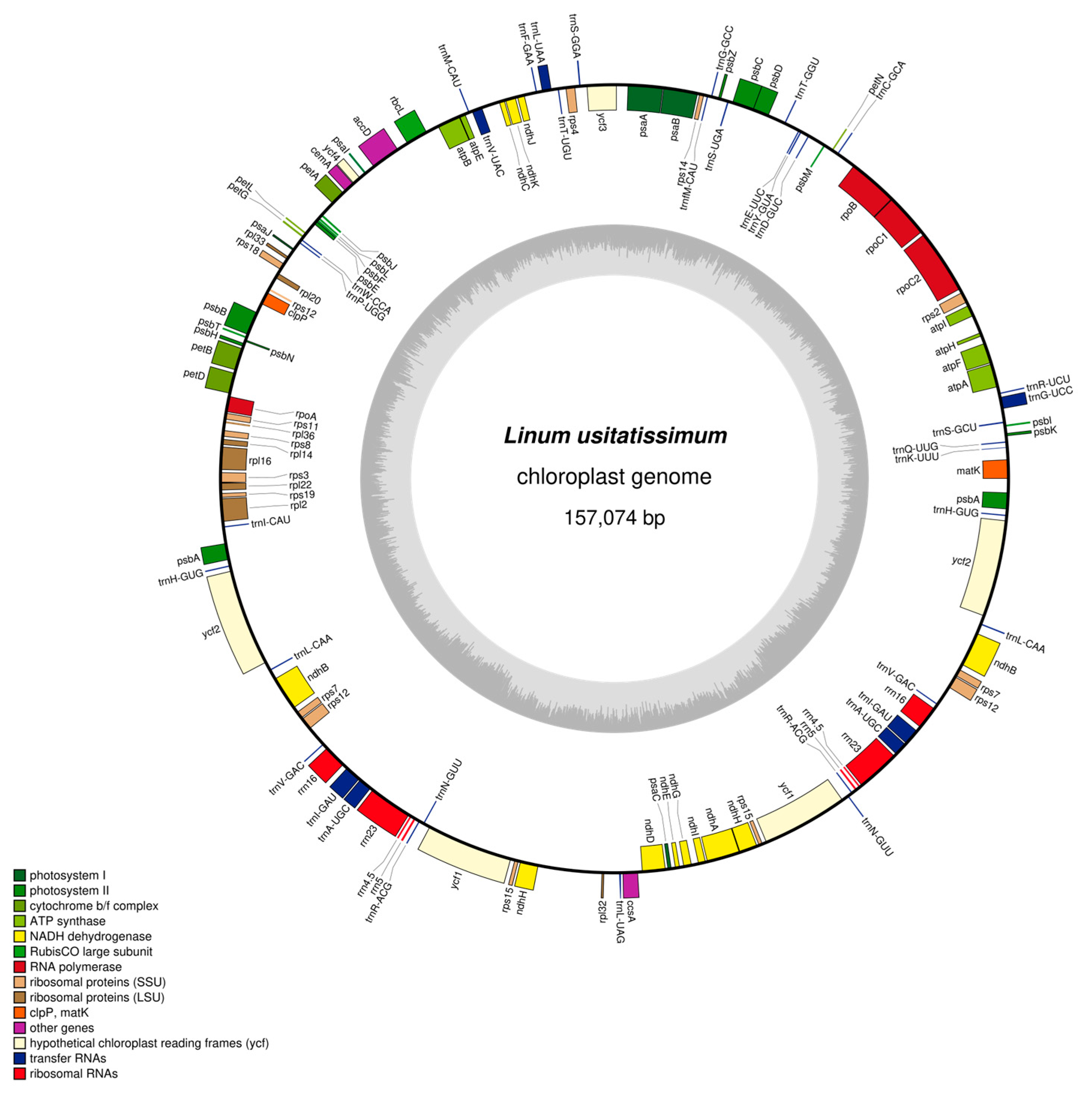 Genes 16 01038 g001 Genes 16 01038 g001