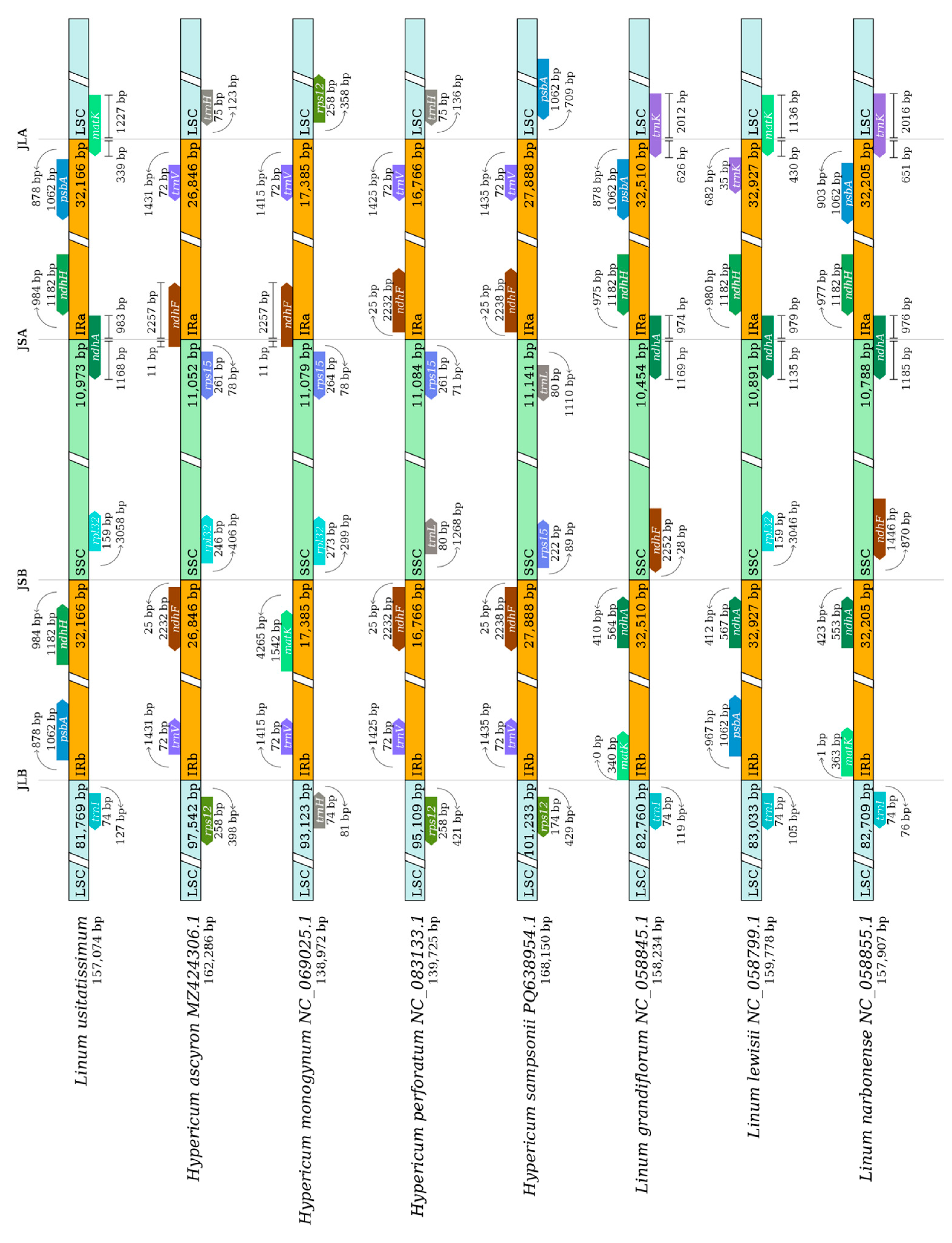 Genes 16 01038 g005 Genes 16 01038 g005