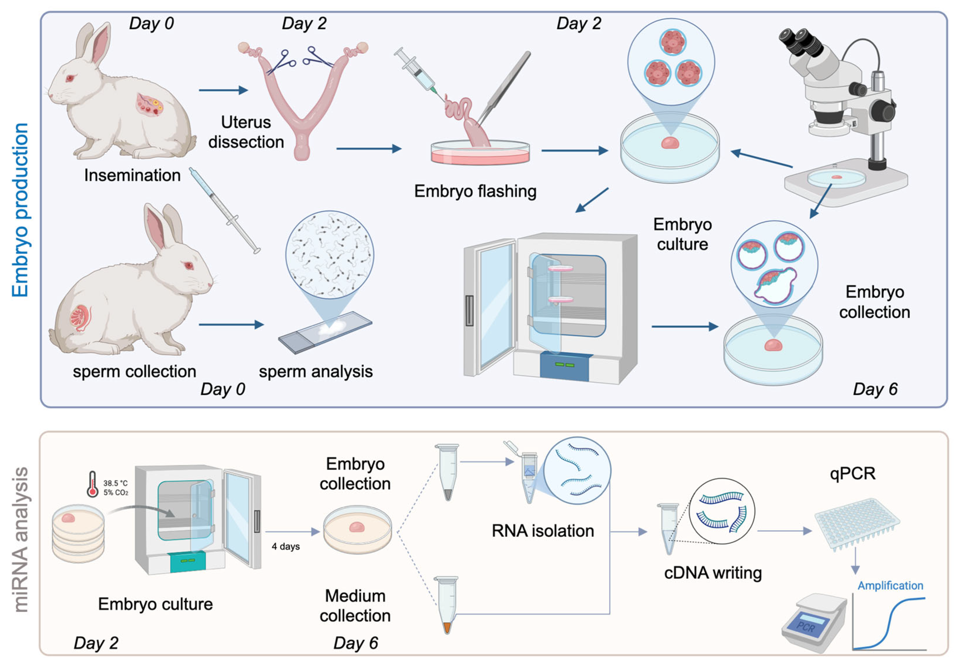 Genes 16 01042 g001