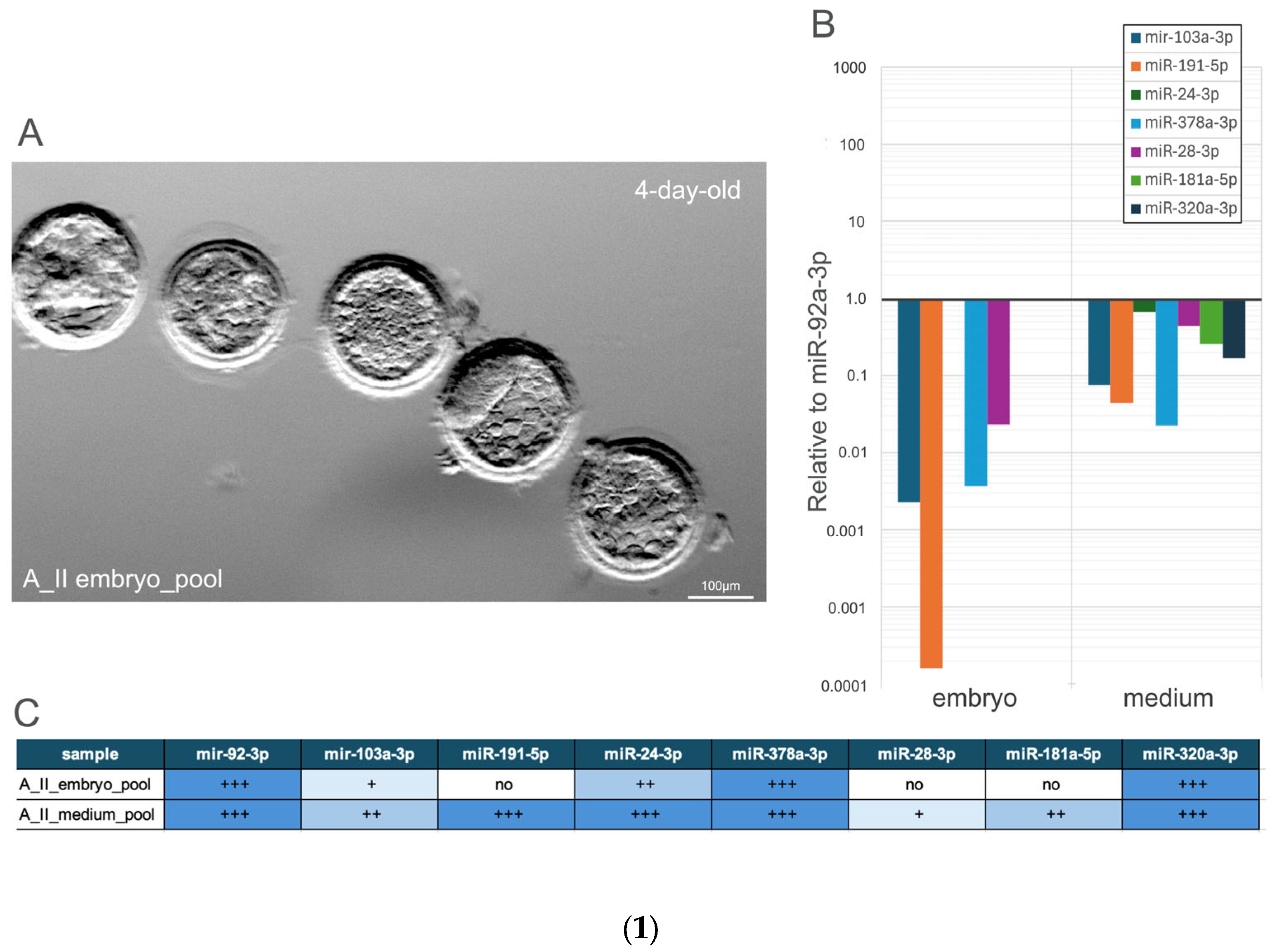 Genes 16 01042 g002a