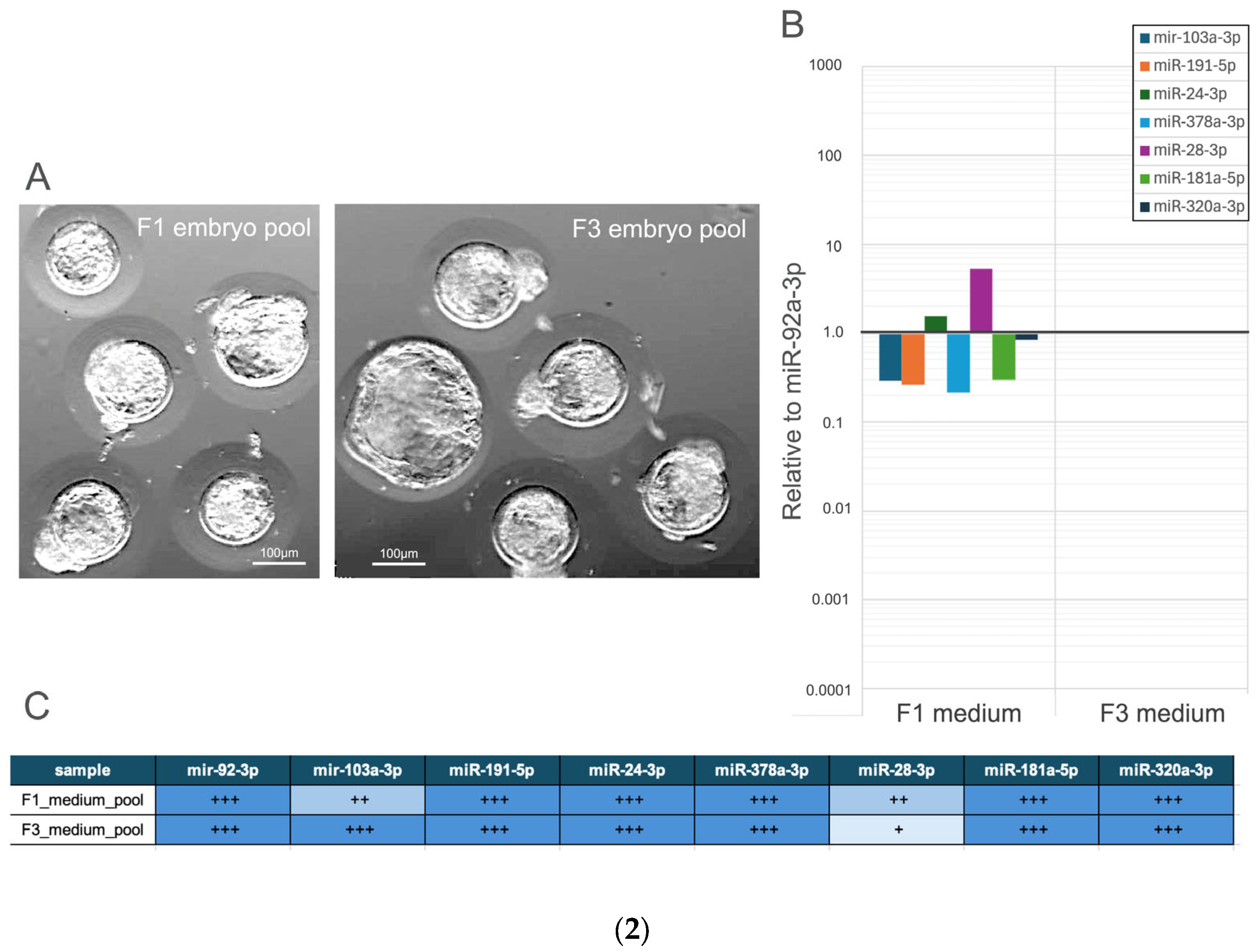 Genes 16 01042 g002b