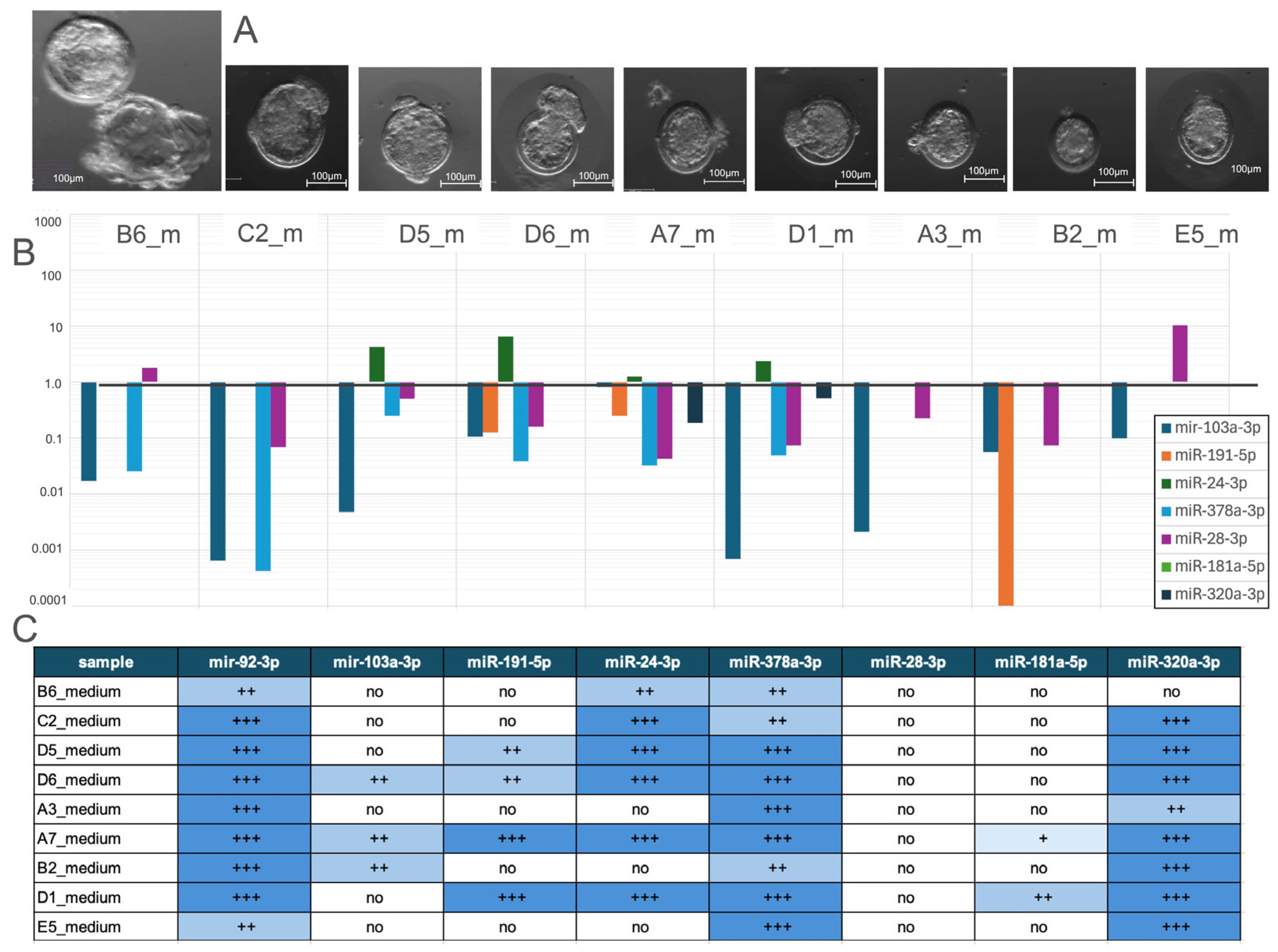 Genes 16 01042 g007